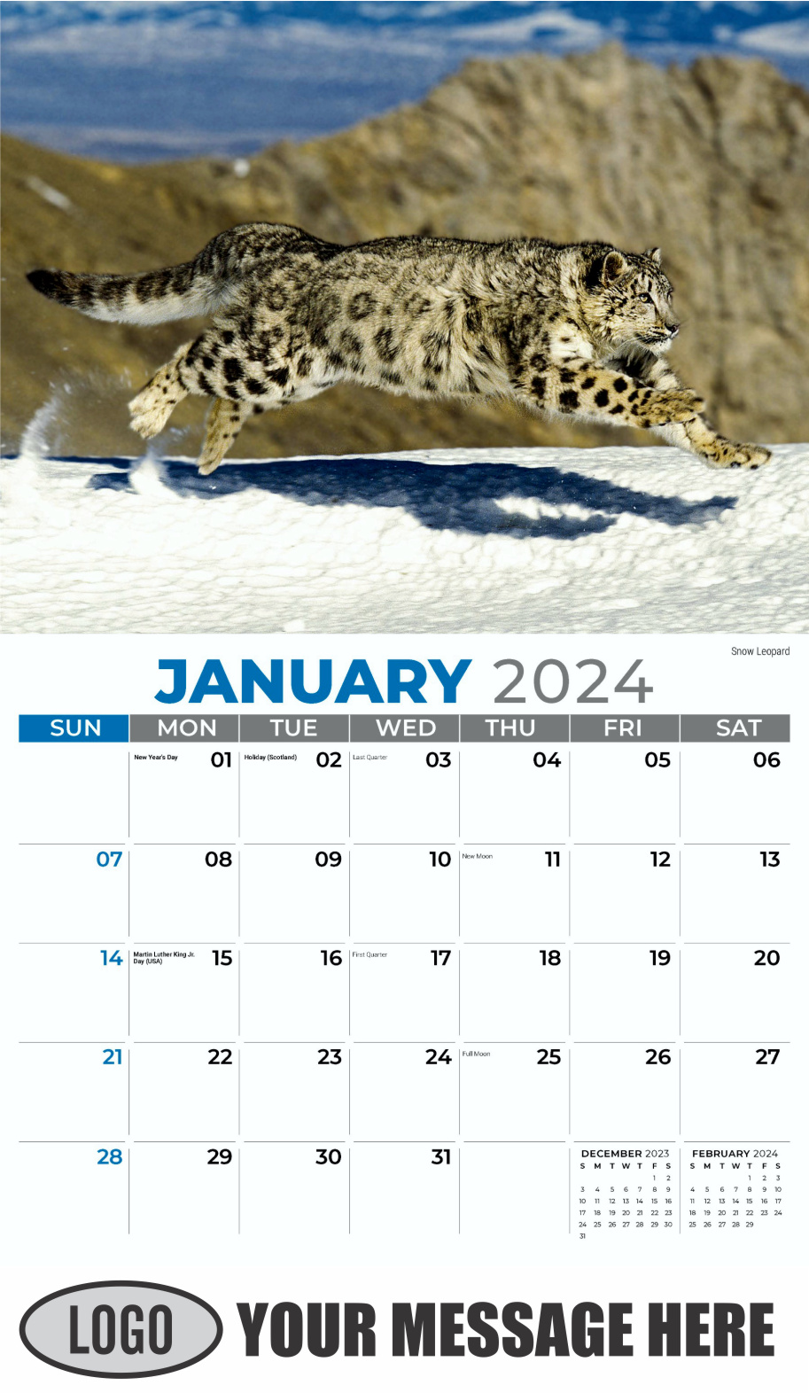 International Wildlife 2024 Business Advertising Wall Calendar - January