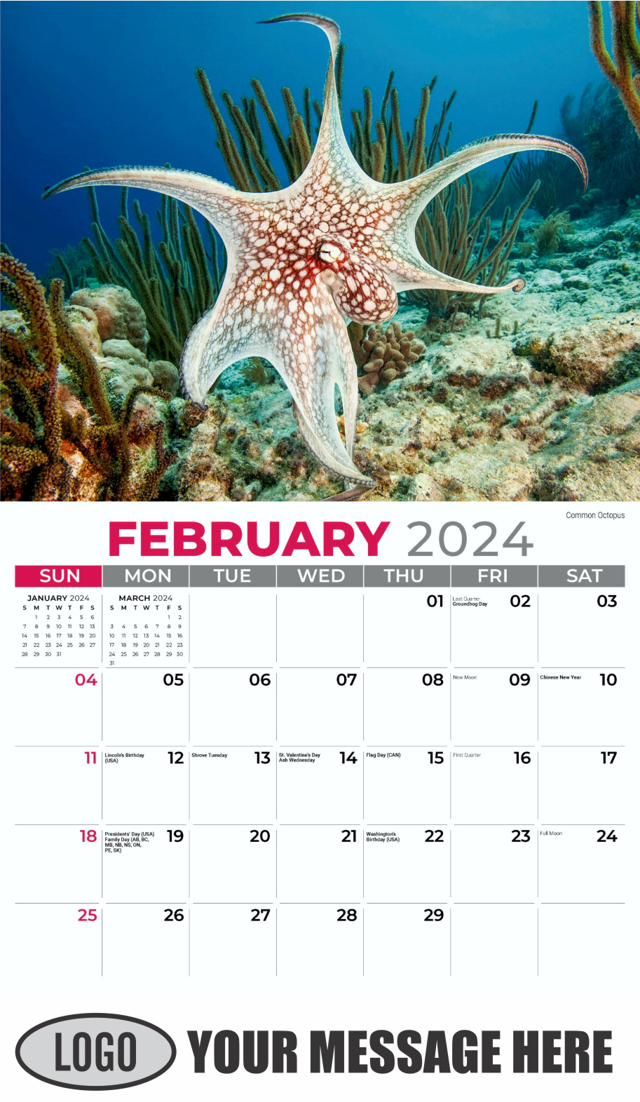 International Wildlife 2024 Business Advertising Wall Calendar - February
