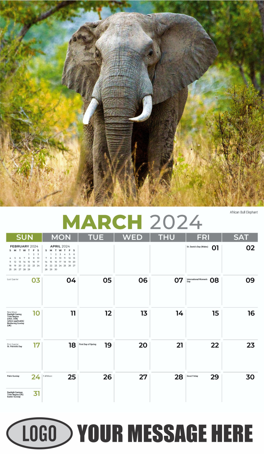 International Wildlife 2024 Business Advertising Wall Calendar - March