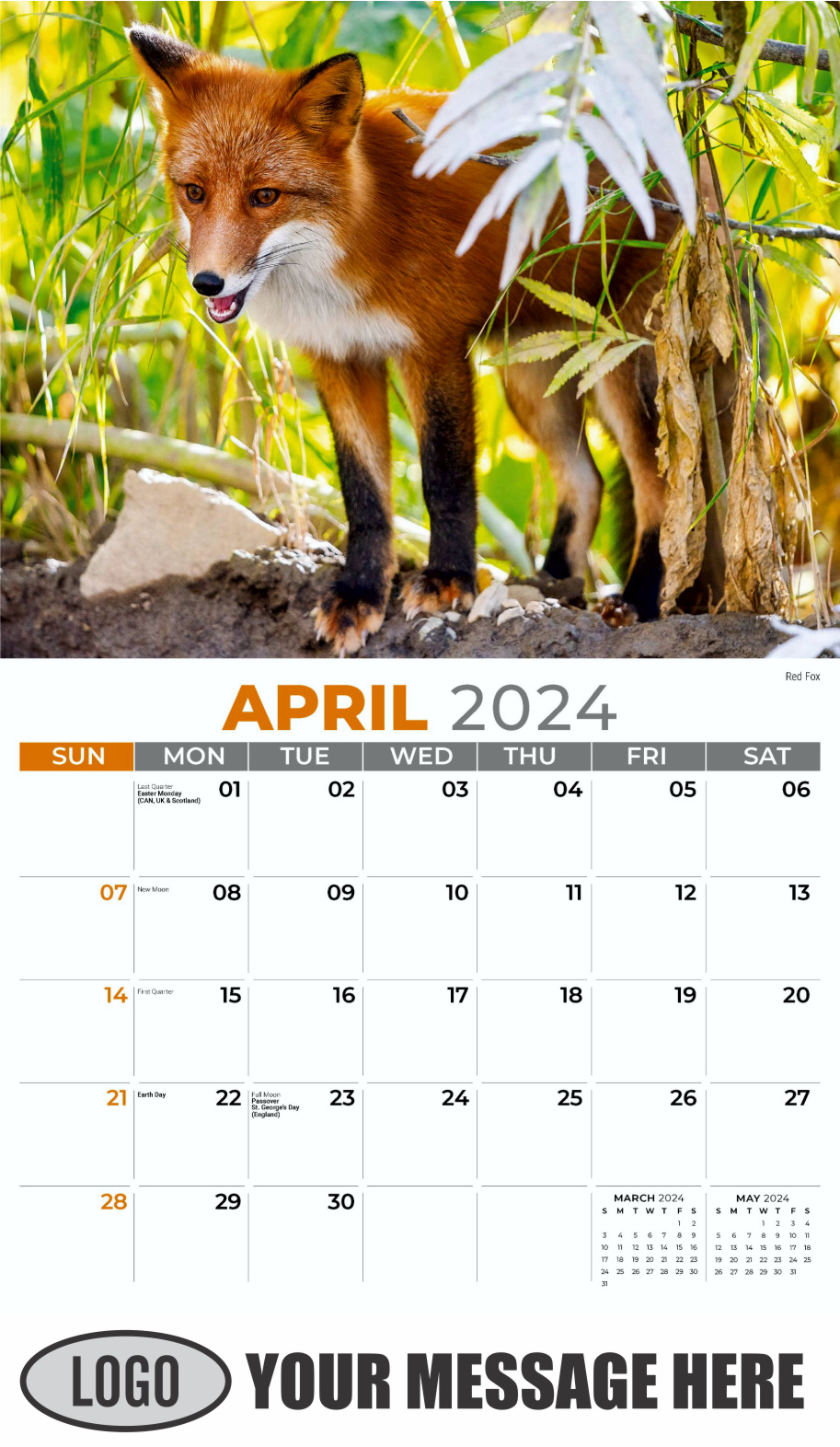 International Wildlife 2024 Business Advertising Wall Calendar - April