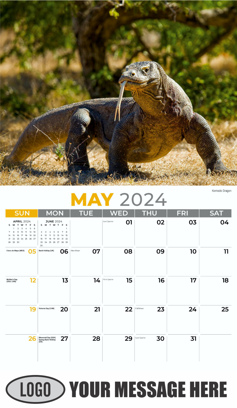 International Wildlife 2024 Business Advertising Wall Calendar - May