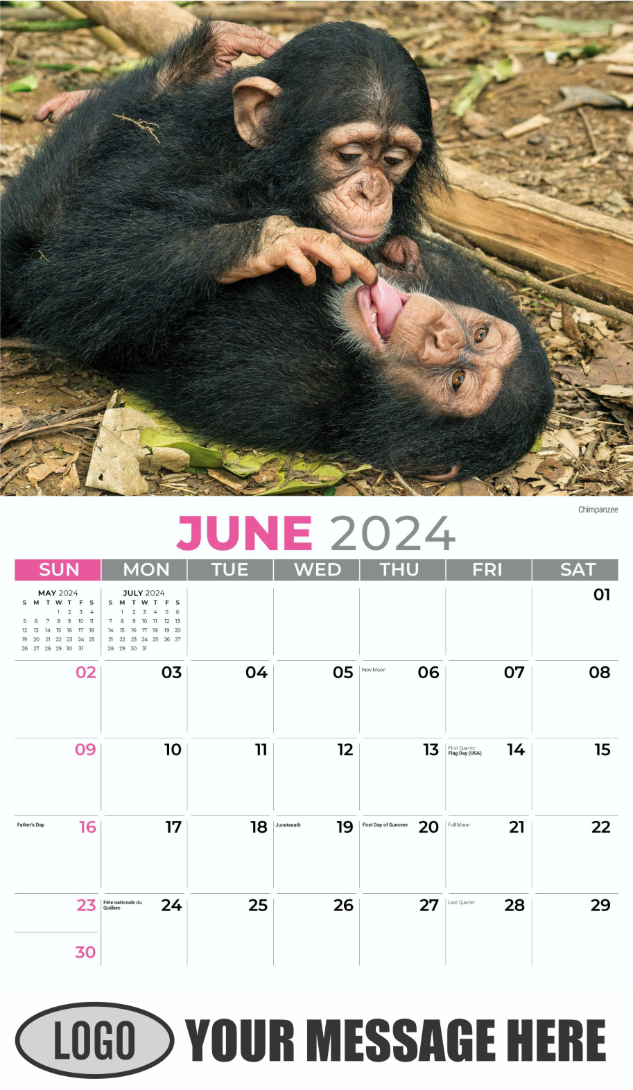 International Wildlife 2024 Business Advertising Wall Calendar - June
