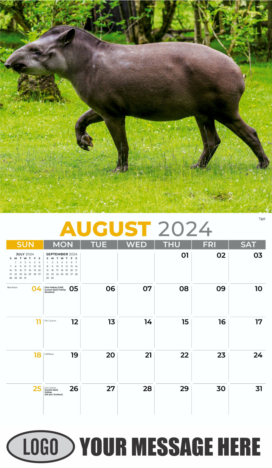 International Wildlife 2024 Business Advertising Wall Calendar - August