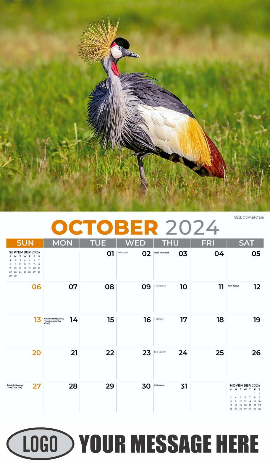 International Wildlife 2024 Business Advertising Wall Calendar - October