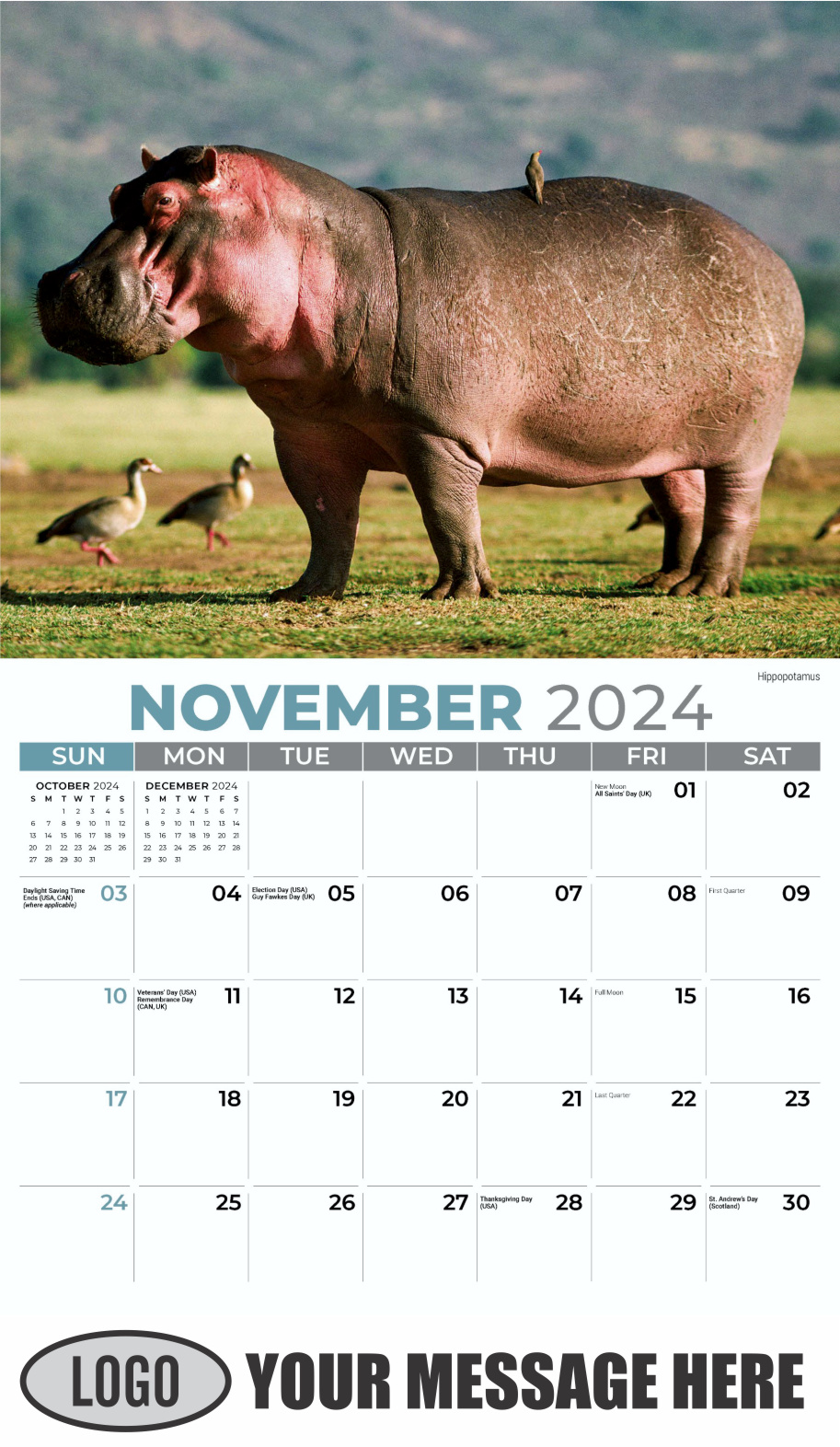 International Wildlife 2024 Business Advertising Wall Calendar - November