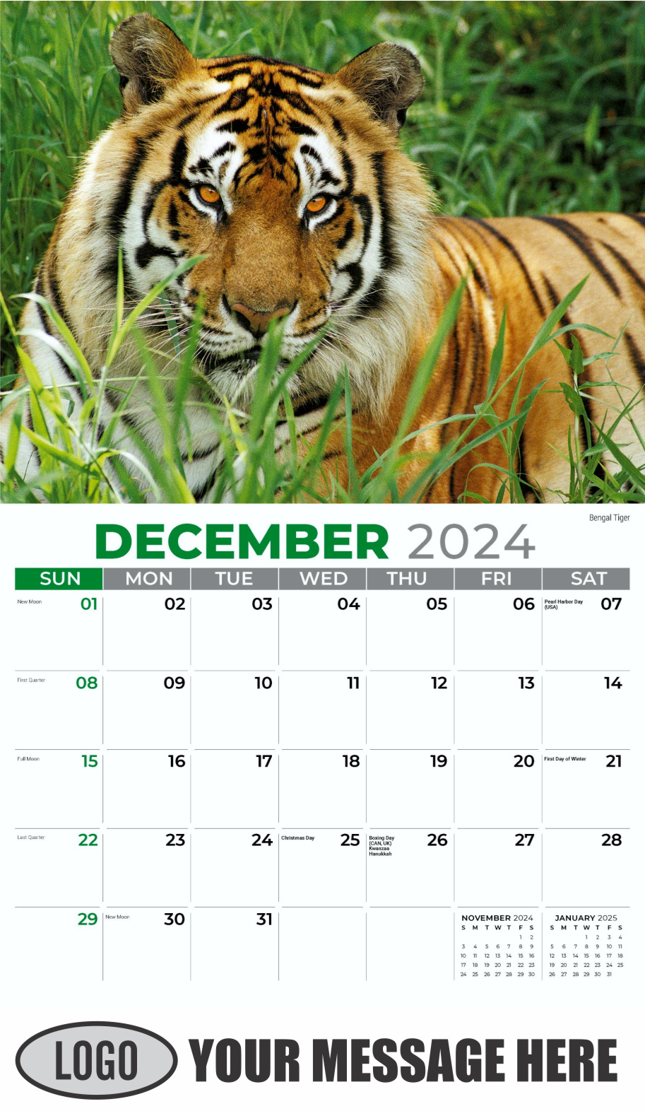 International Wildlife 2024 Business Advertising Wall Calendar - December