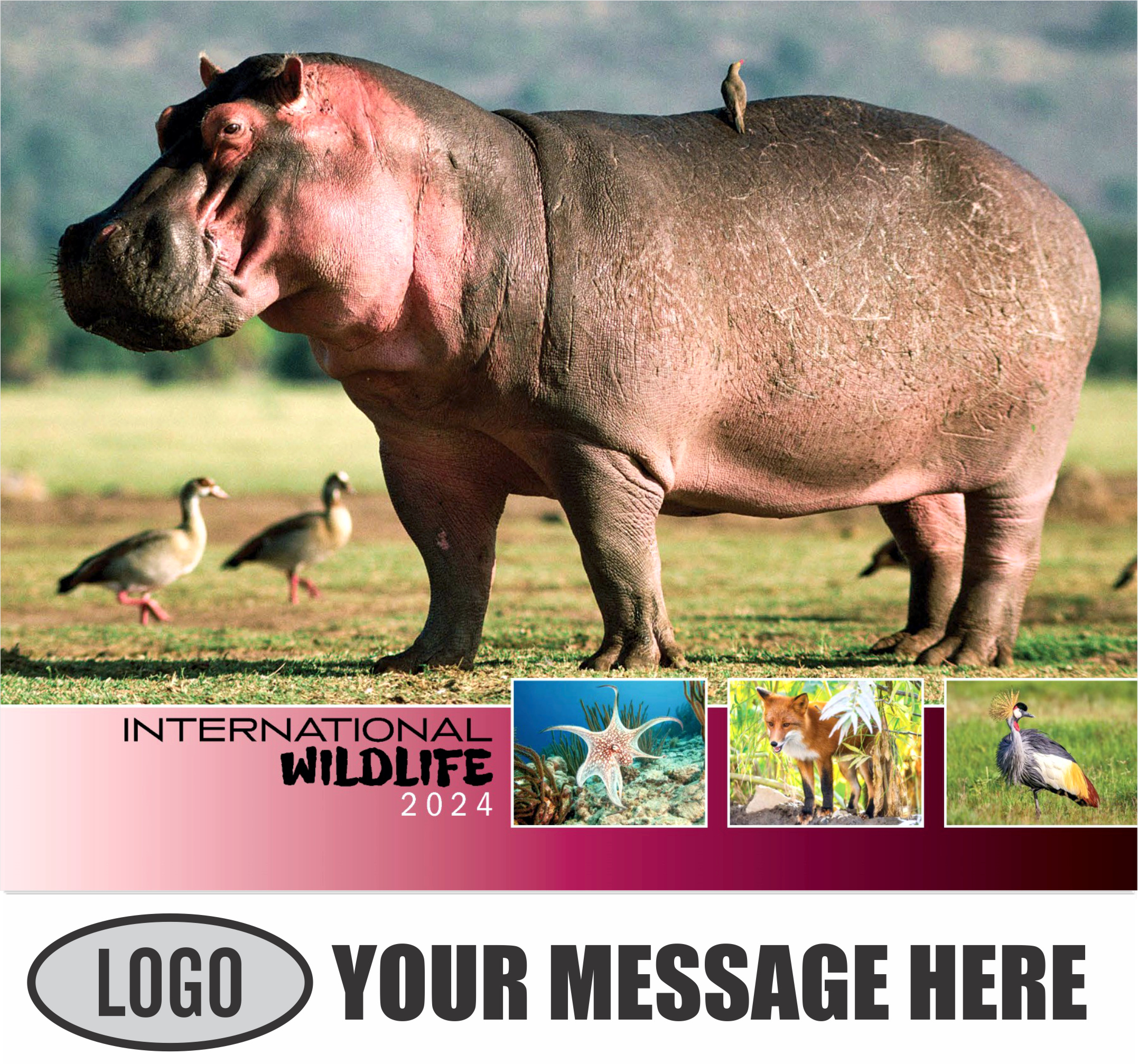International Wildlife 2024 Business Advertising Wall Calendar - cover