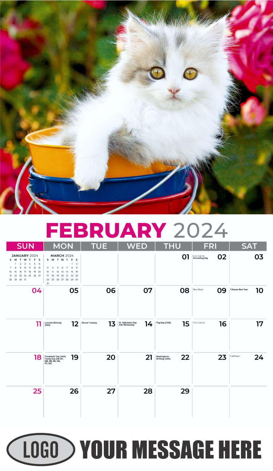 Kittens 2024 Business Promo Wall Calendar - February