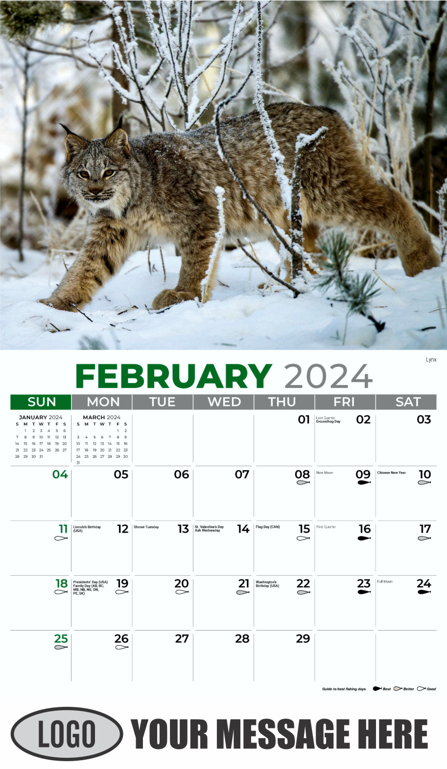 North American Wildlife 2024 Business Promo Wall Calendar - February