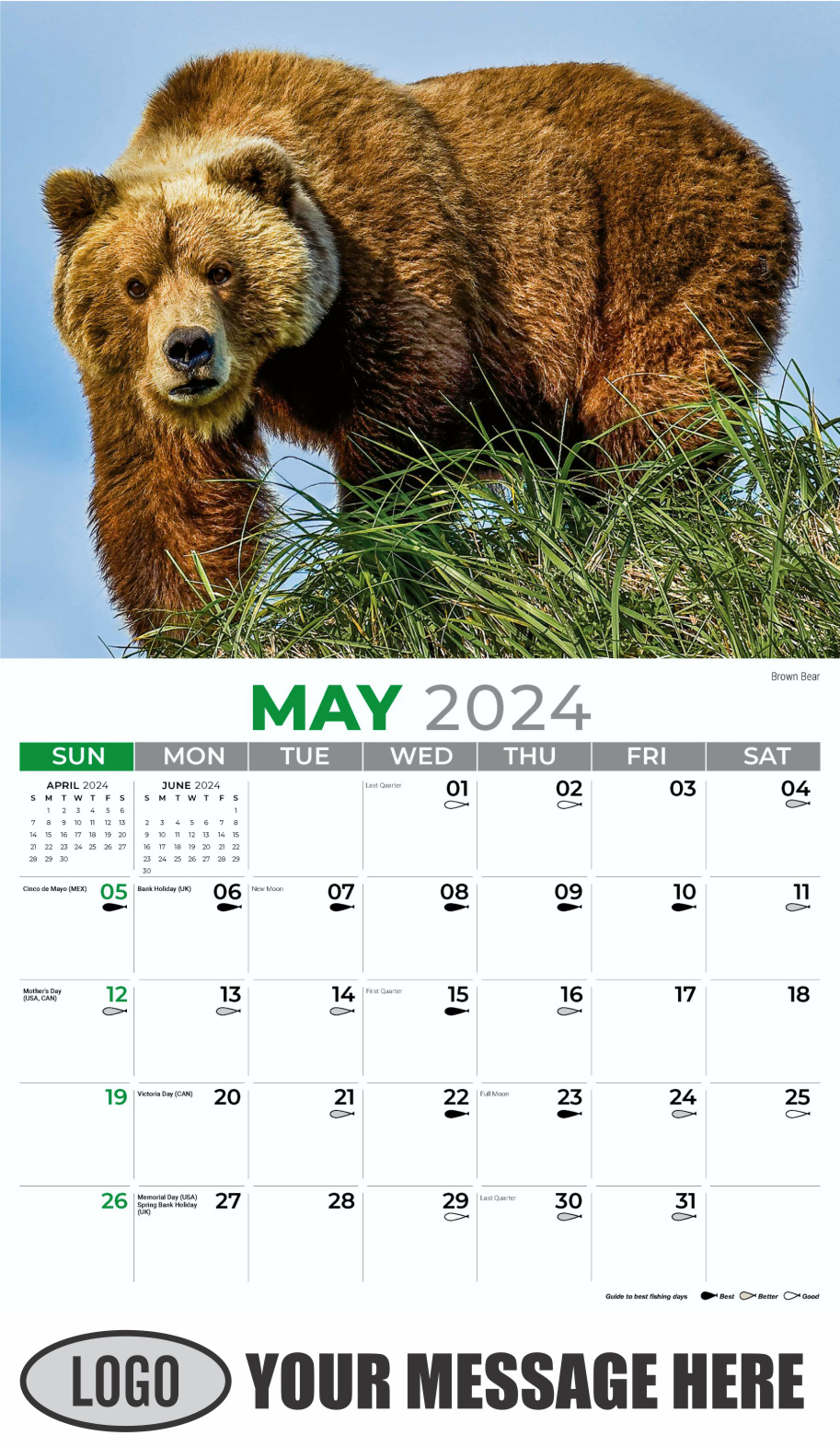 North American Wildlife 2024 Business Promo Wall Calendar - May