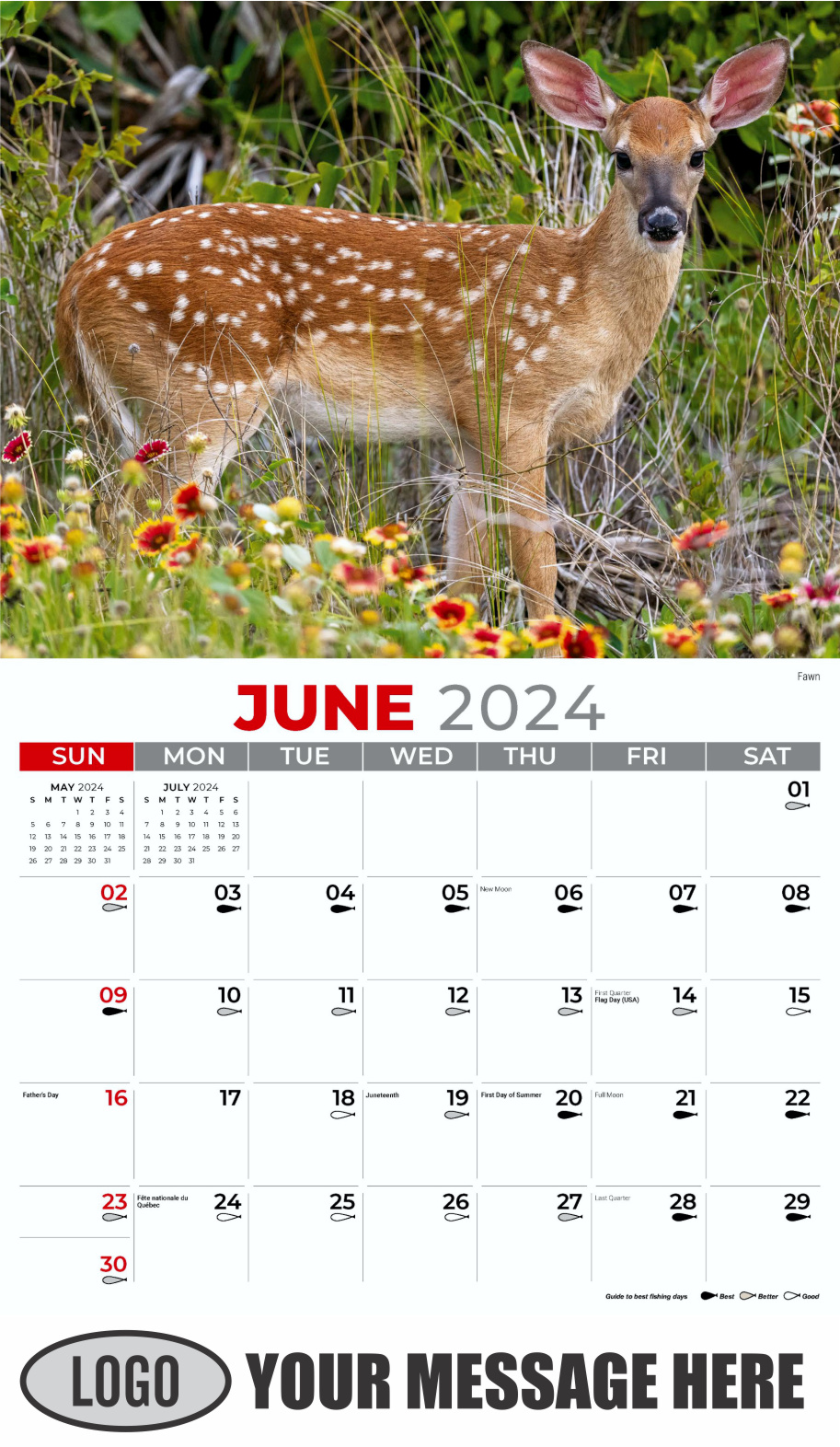 North American Wildlife 2024 Business Promo Wall Calendar - June