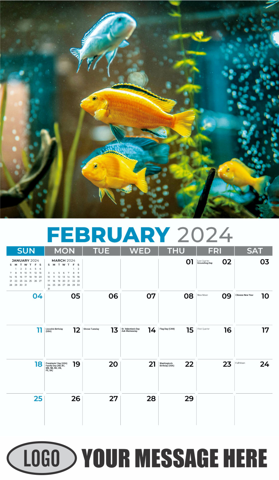 Pets 2024 Business Advertising Wall Calendar - February