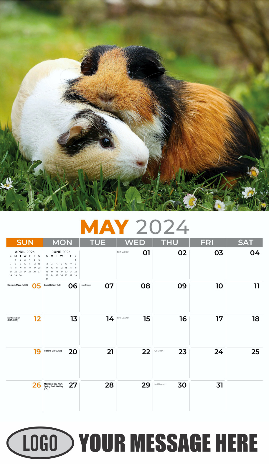 Pets 2024 Business Advertising Wall Calendar - May