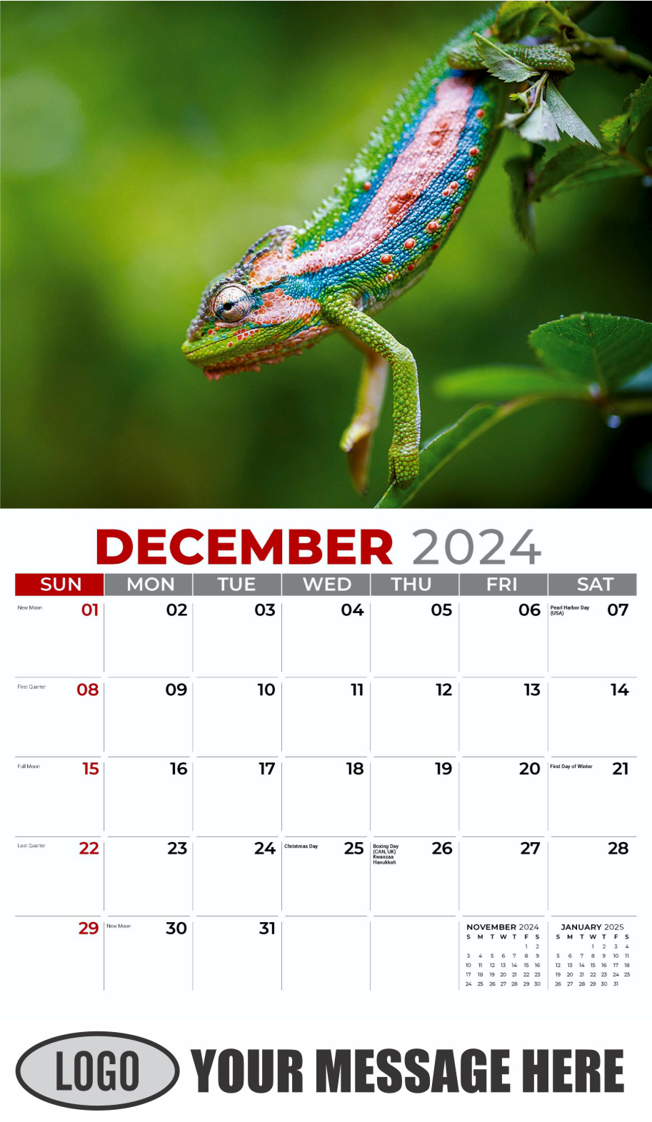 Pets 2024 Business Advertising Wall Calendar - December