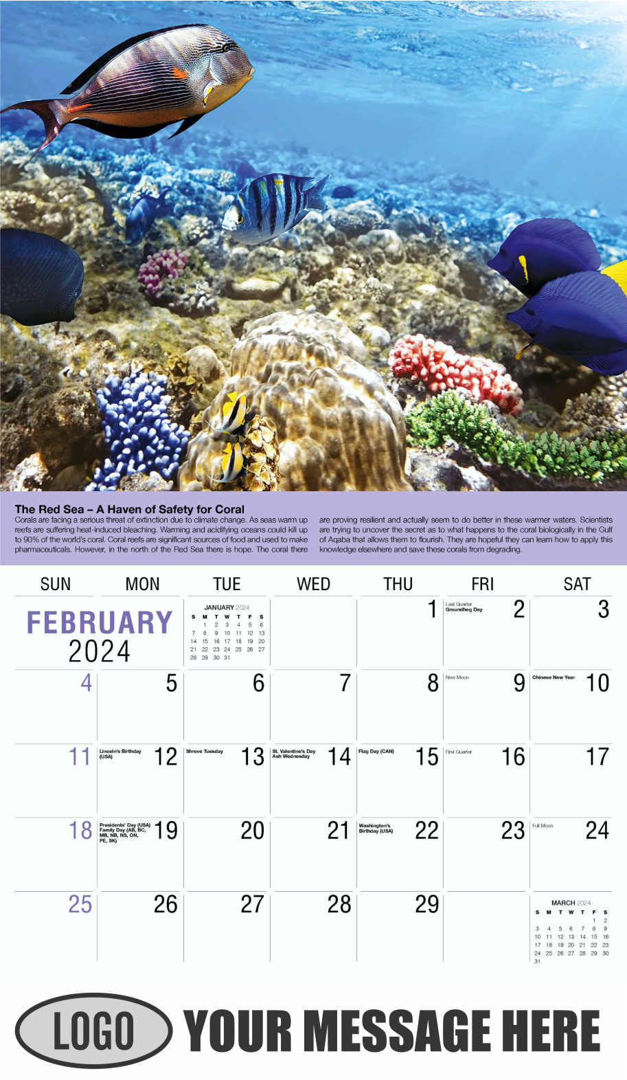 Planet Earth 2024 Business Promotional Wall Calendar - February