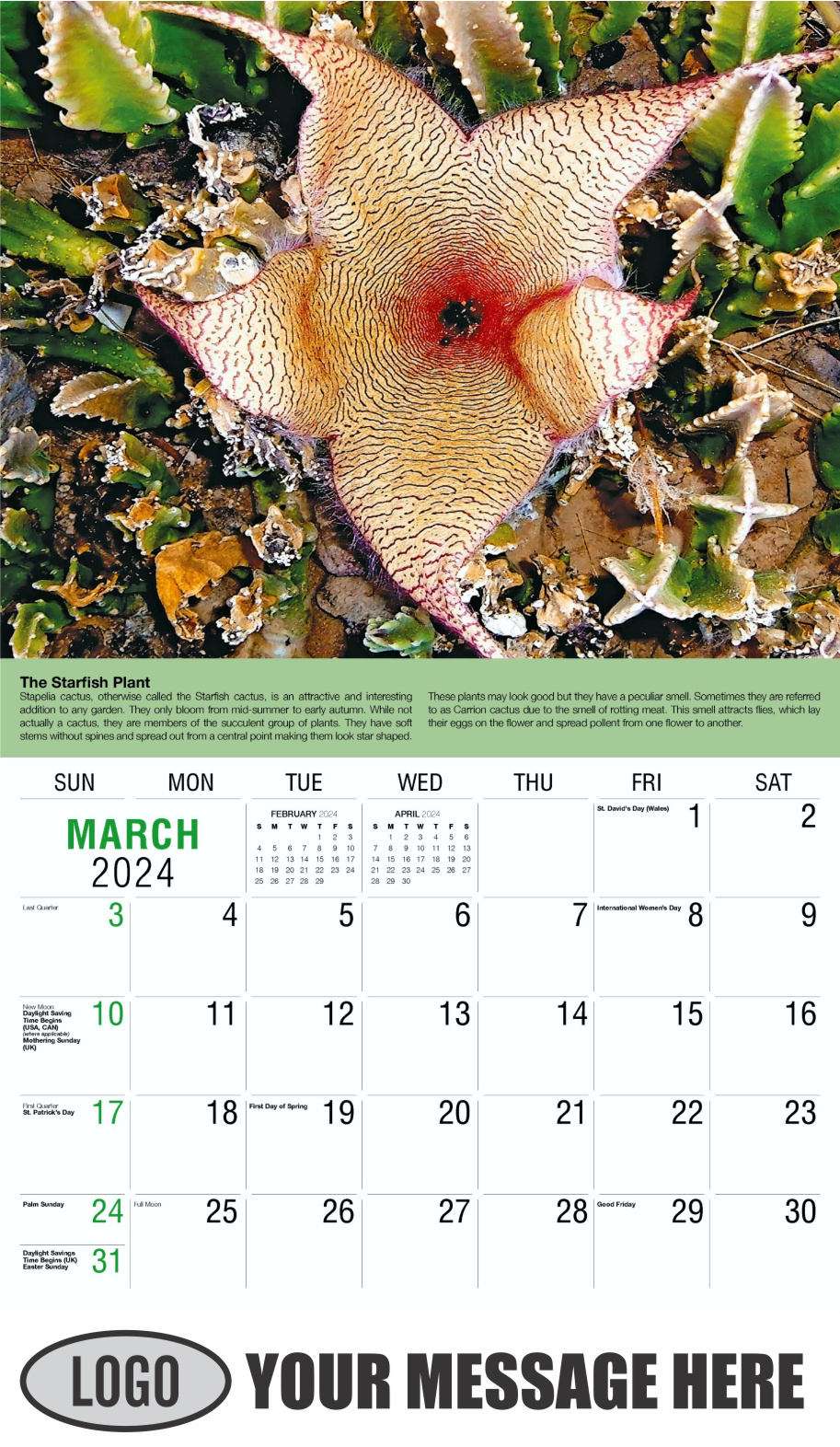 Planet Earth 2024 Business Promotional Wall Calendar - March