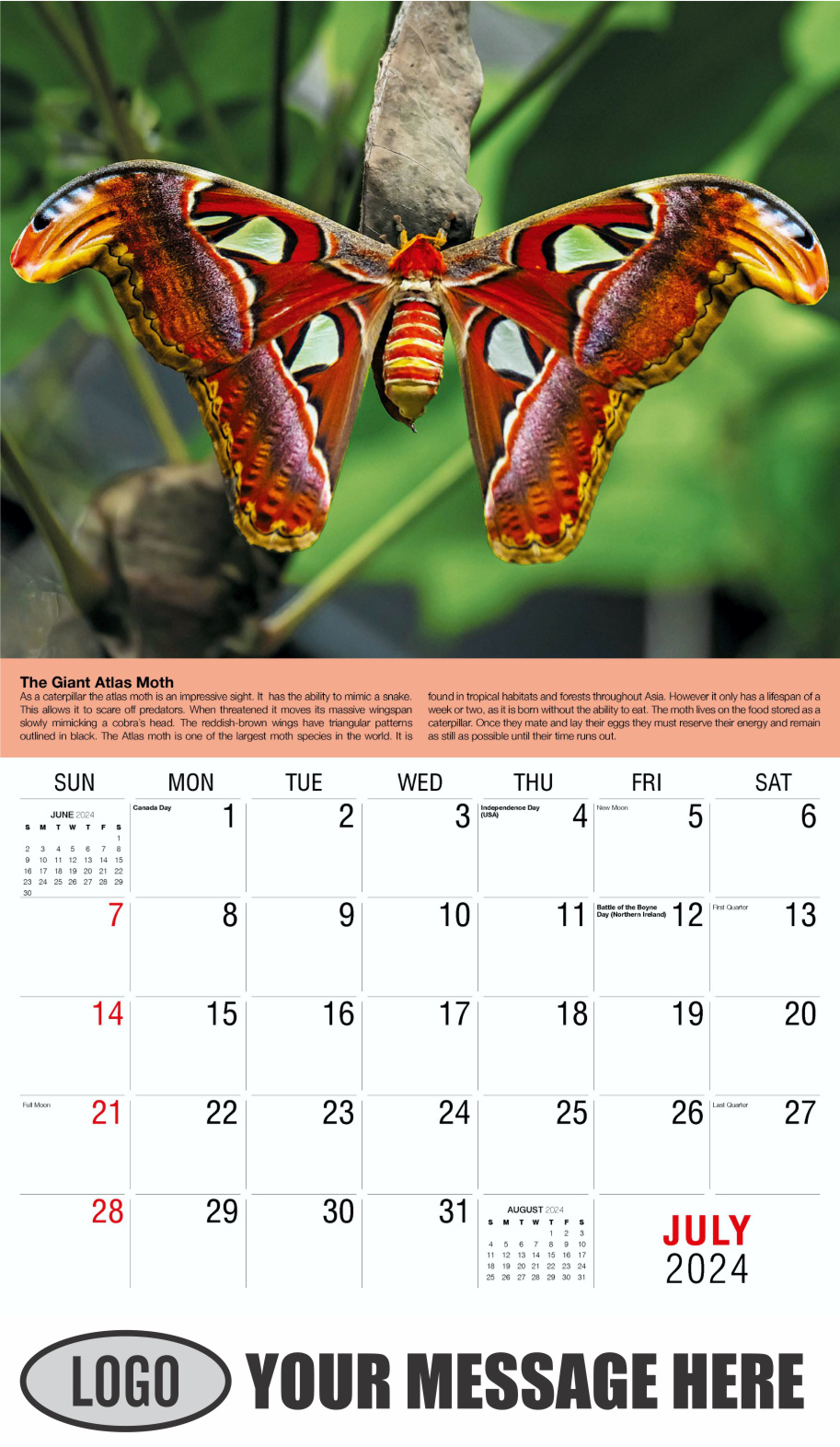 Planet Earth 2024 Business Promotional Wall Calendar - July