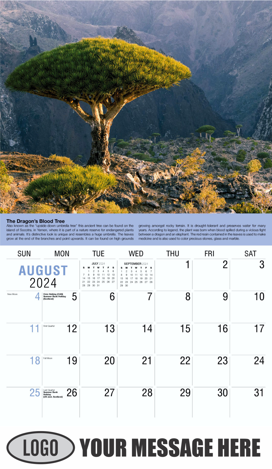 Planet Earth 2024 Business Promotional Wall Calendar - August