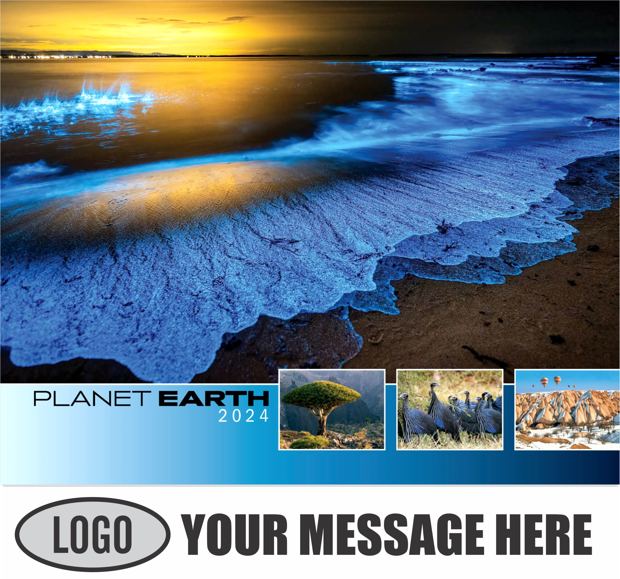 Planet Earth 2024 Business Promotional Wall Calendar - cover