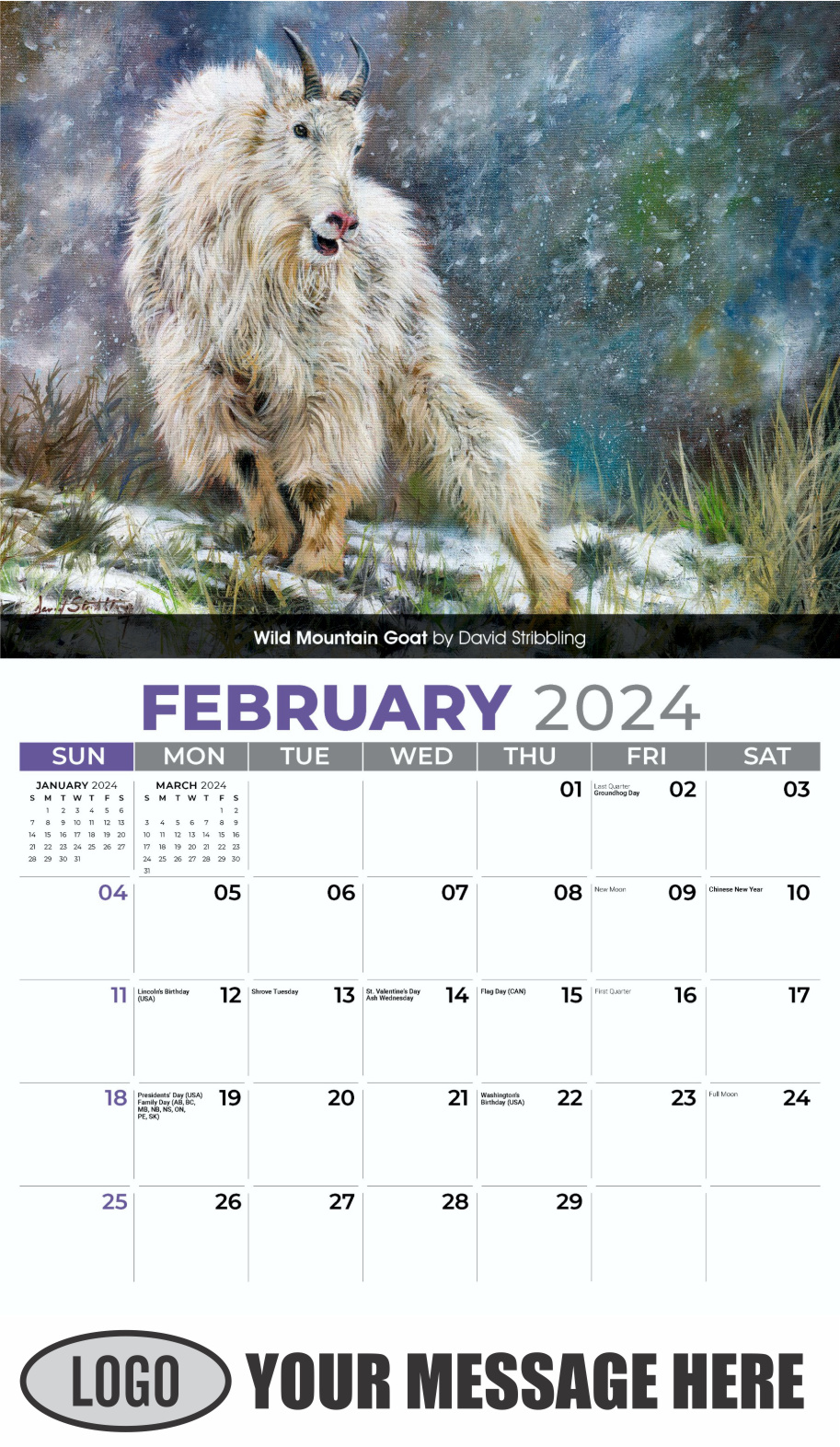 Wildlife Art Portraits 2024 Business Promotion Wall Calendar - February