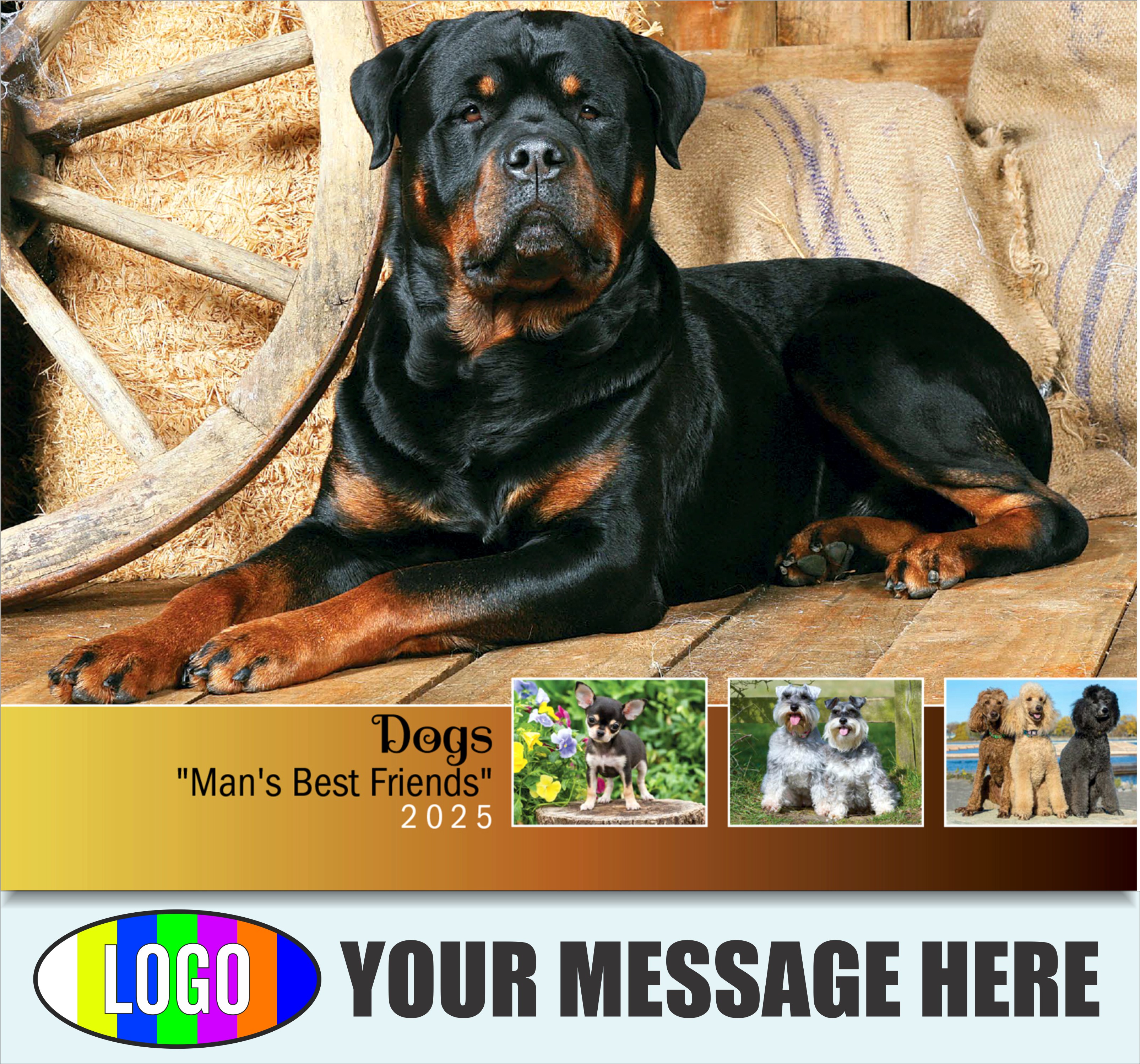 Dogs 2025 Vets and Pets Business Promotion Calendar - cover