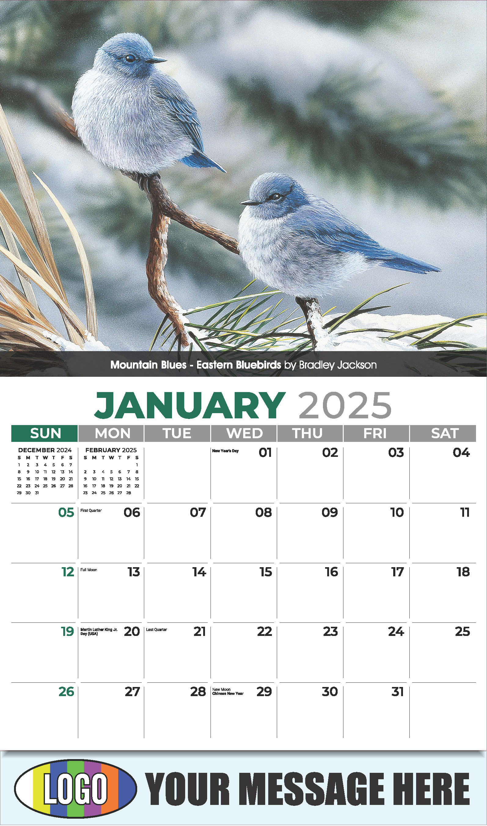 Garden Birds 2025 Business Promotional Calendar - January