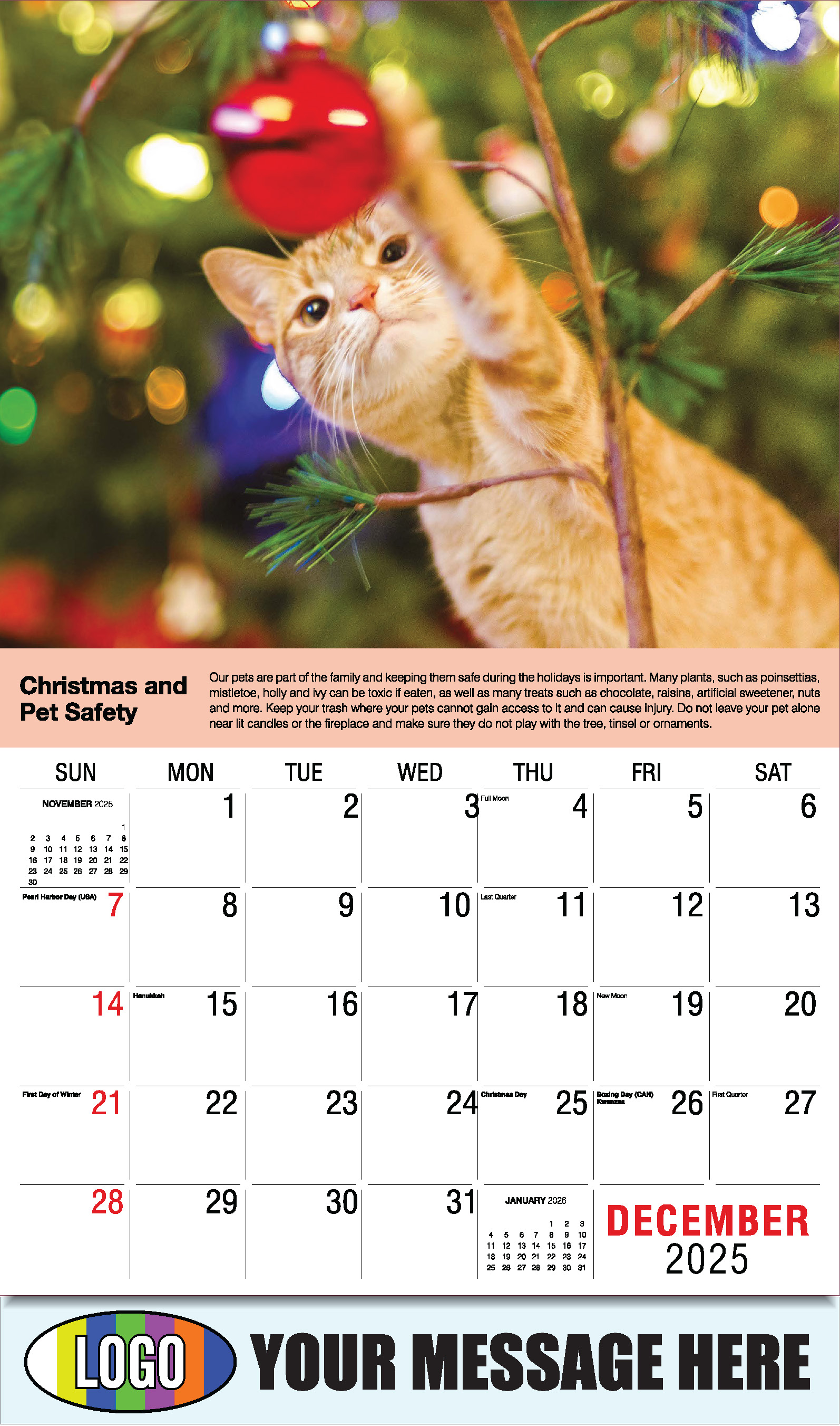 Health Tips 2025 Business Promo Wall Calendar - December