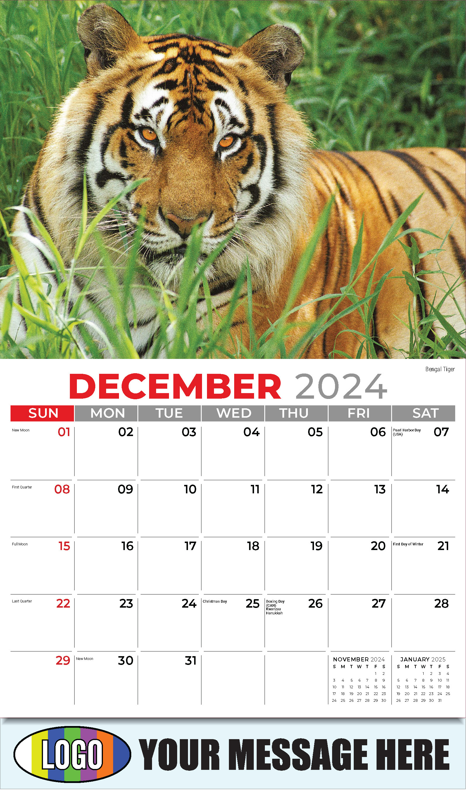 International Wildlife 2025 Business Advertising Wall Calendar - December_a