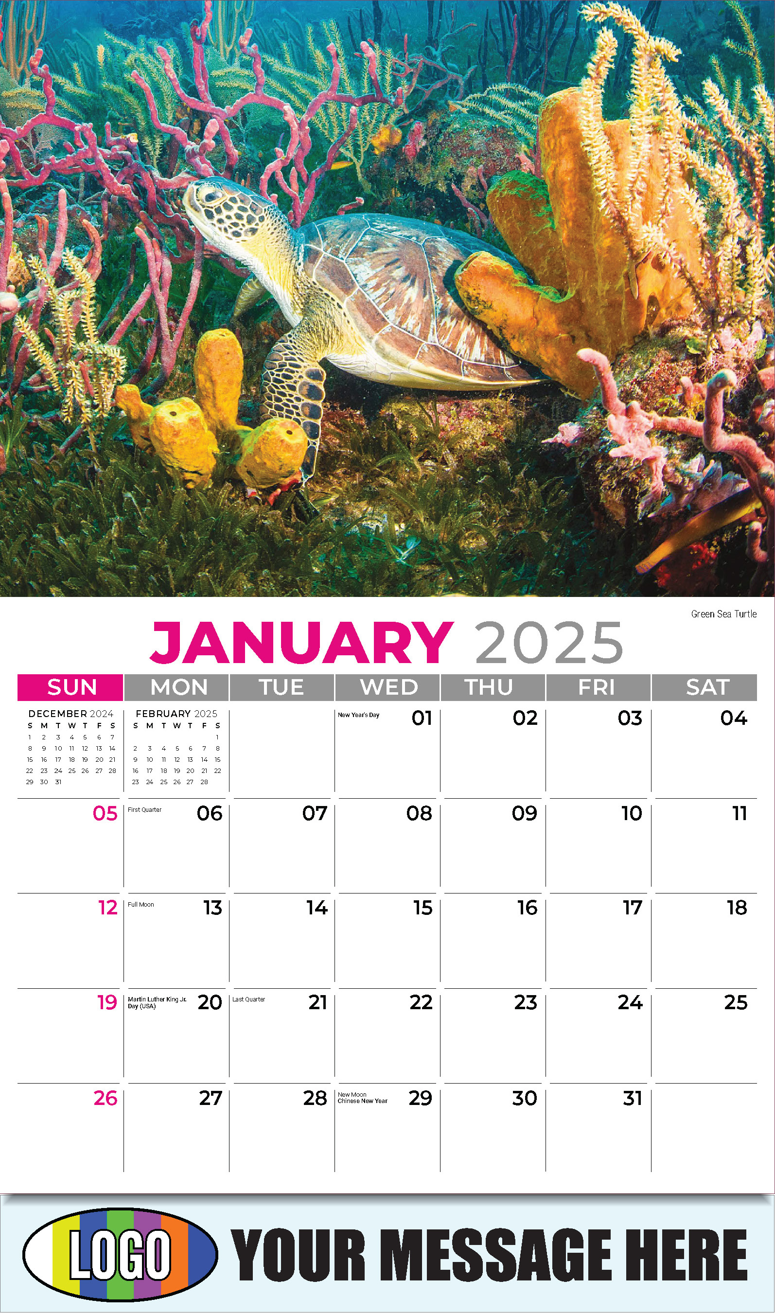 International Wildlife 2025 Business Advertising Wall Calendar - January