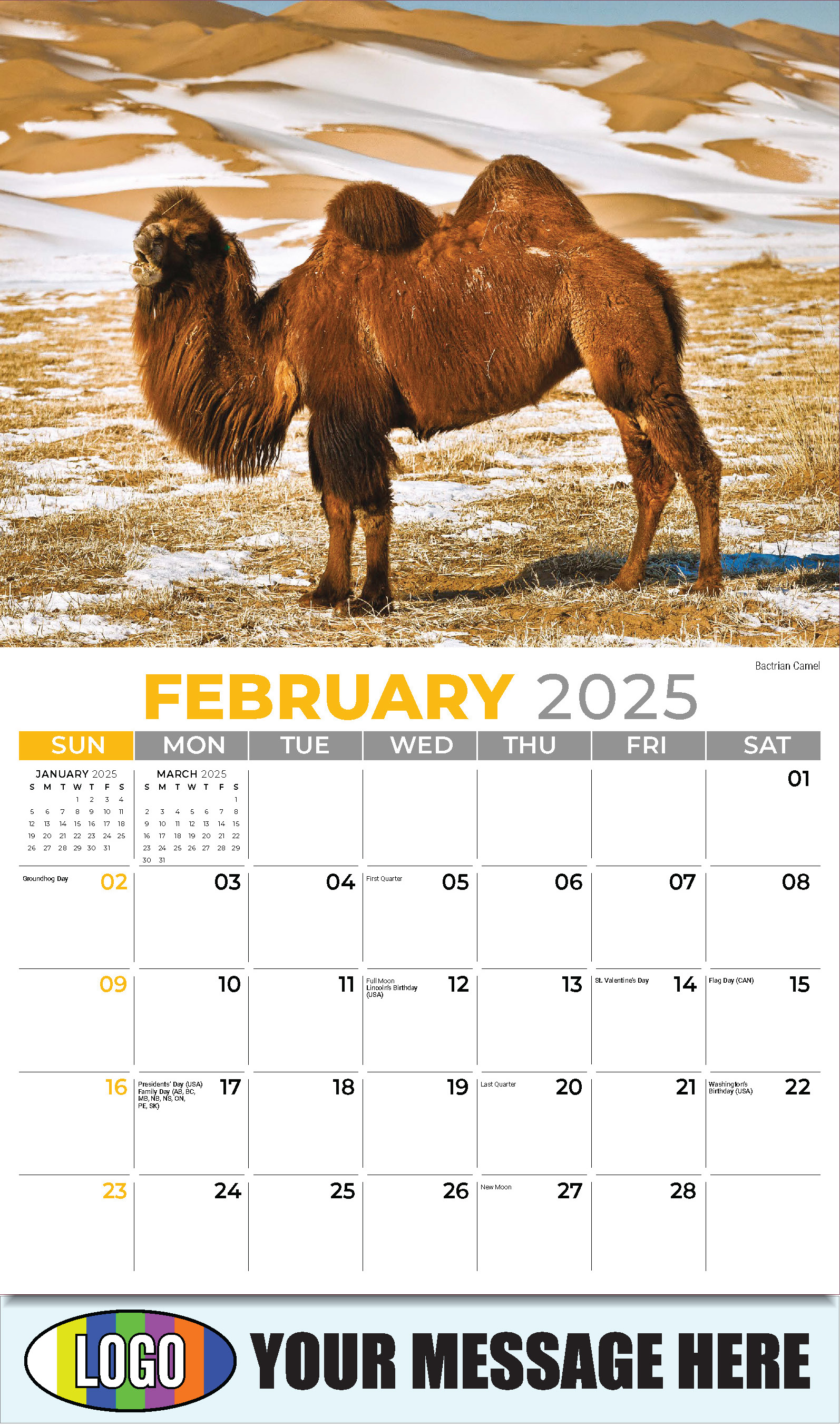 International Wildlife 2025 Business Advertising Wall Calendar - February