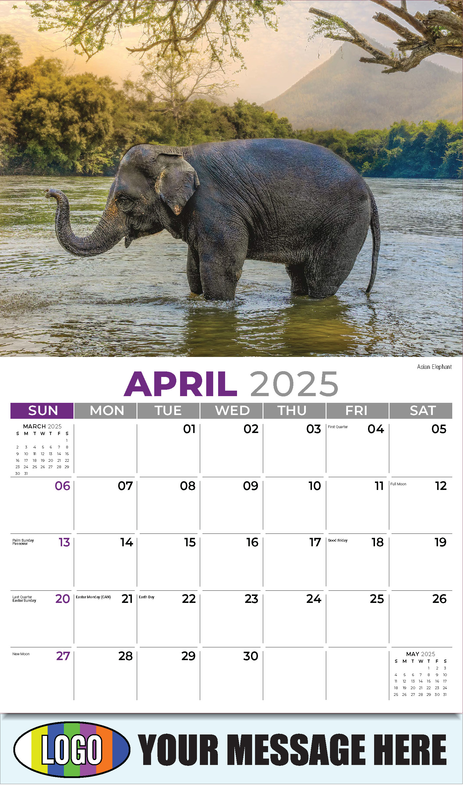 International Wildlife 2025 Business Advertising Wall Calendar - April