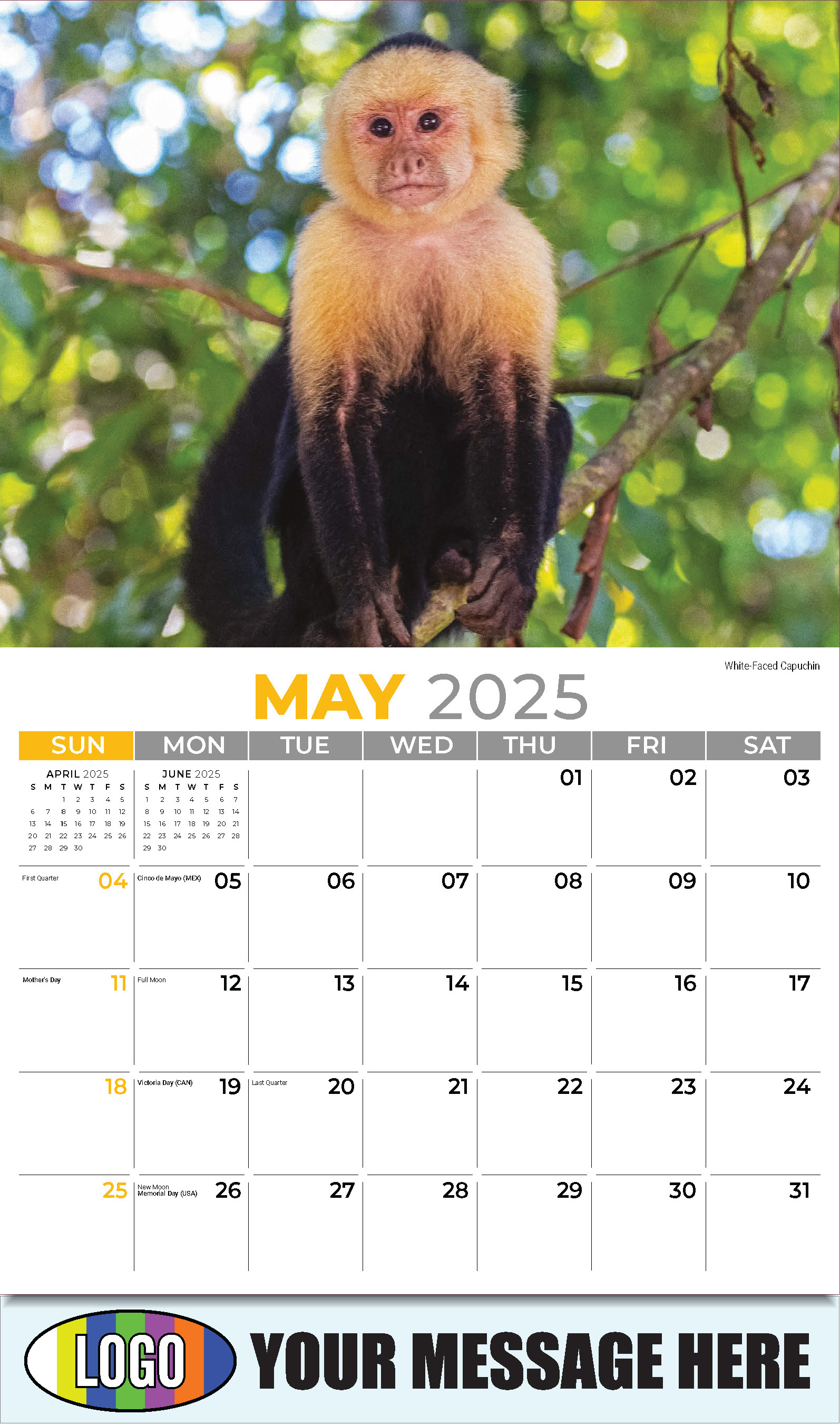 International Wildlife 2025 Business Advertising Wall Calendar - May