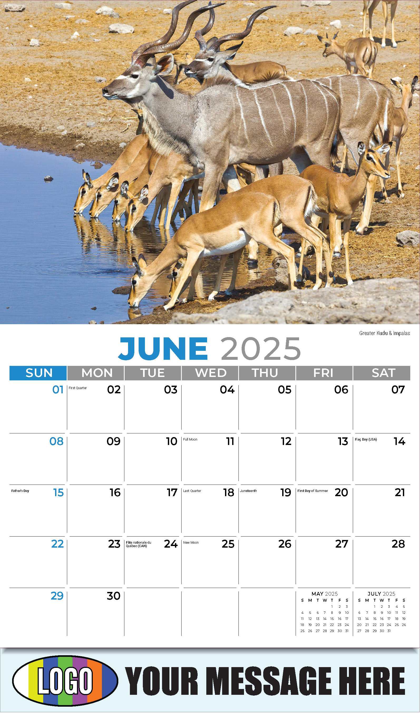 International Wildlife 2025 Business Advertising Wall Calendar - June