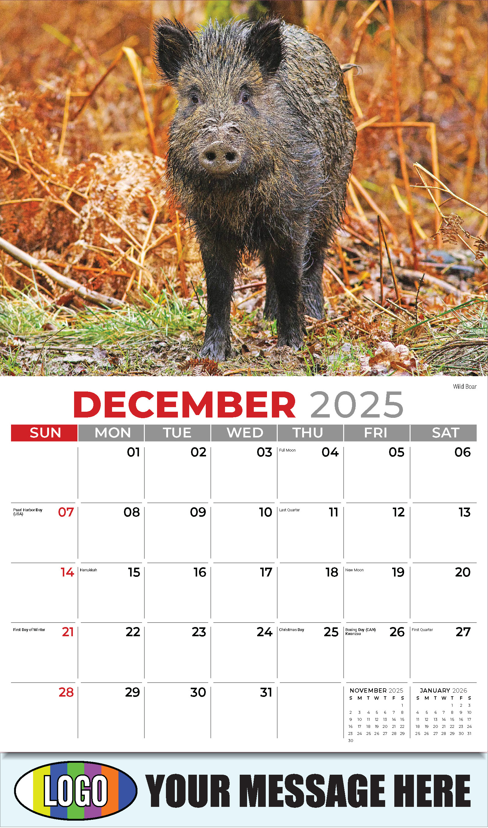 International Wildlife 2025 Business Advertising Wall Calendar - December