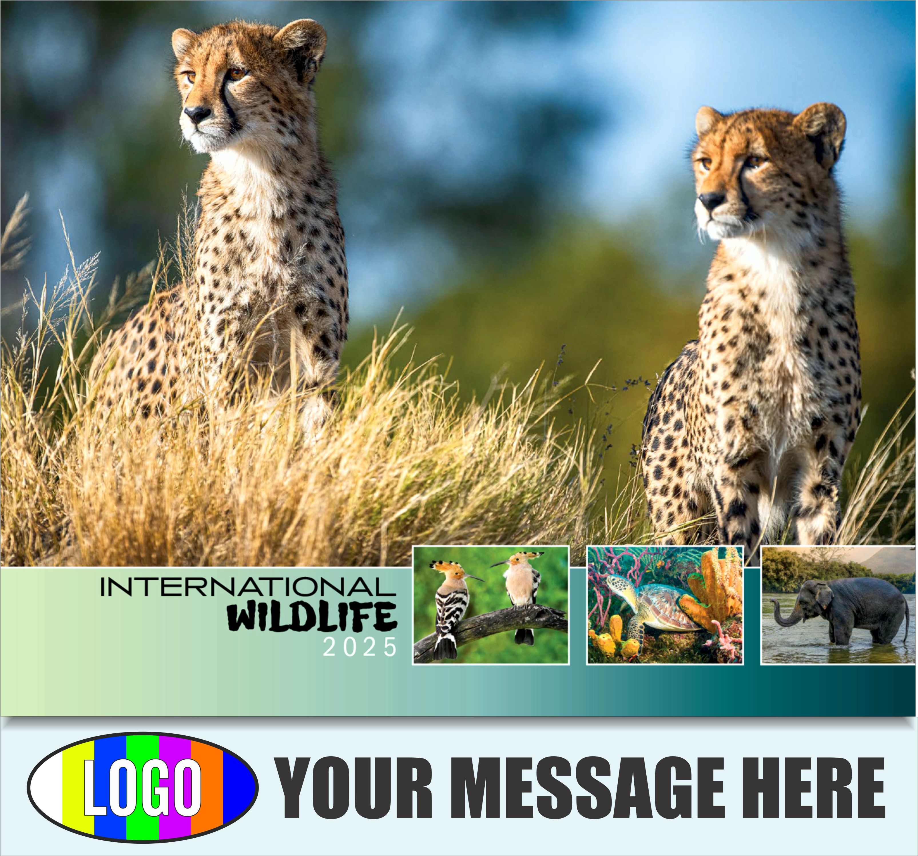 International Wildlife 2025 Business Advertising Wall Calendar - cover