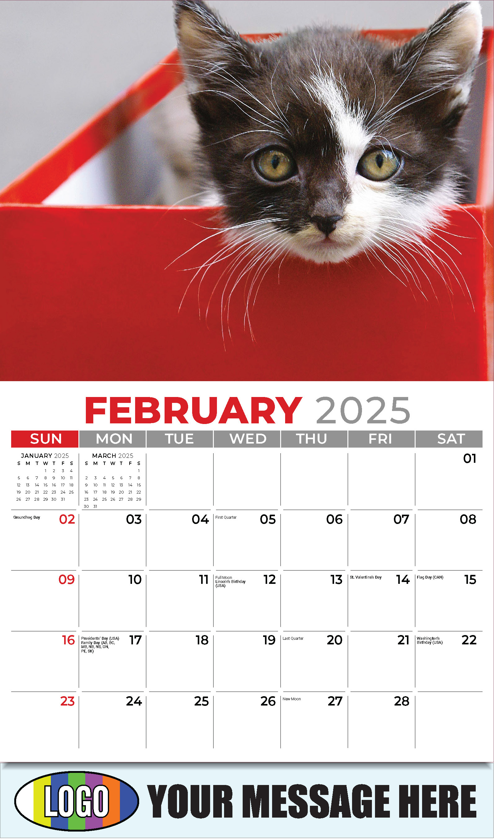 Kittens 2025 Business Promo Wall Calendar - February