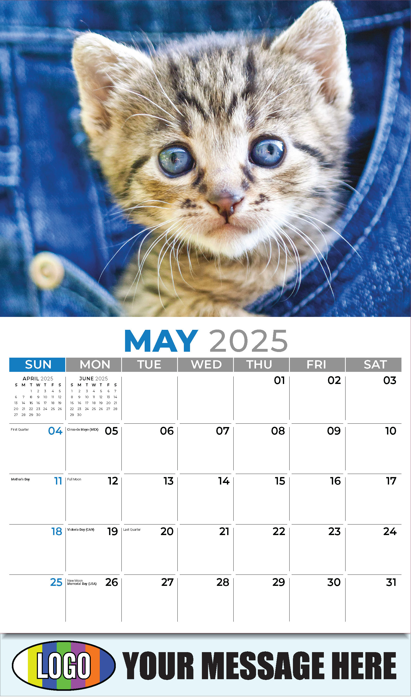 Kittens 2025 Business Promo Wall Calendar - May