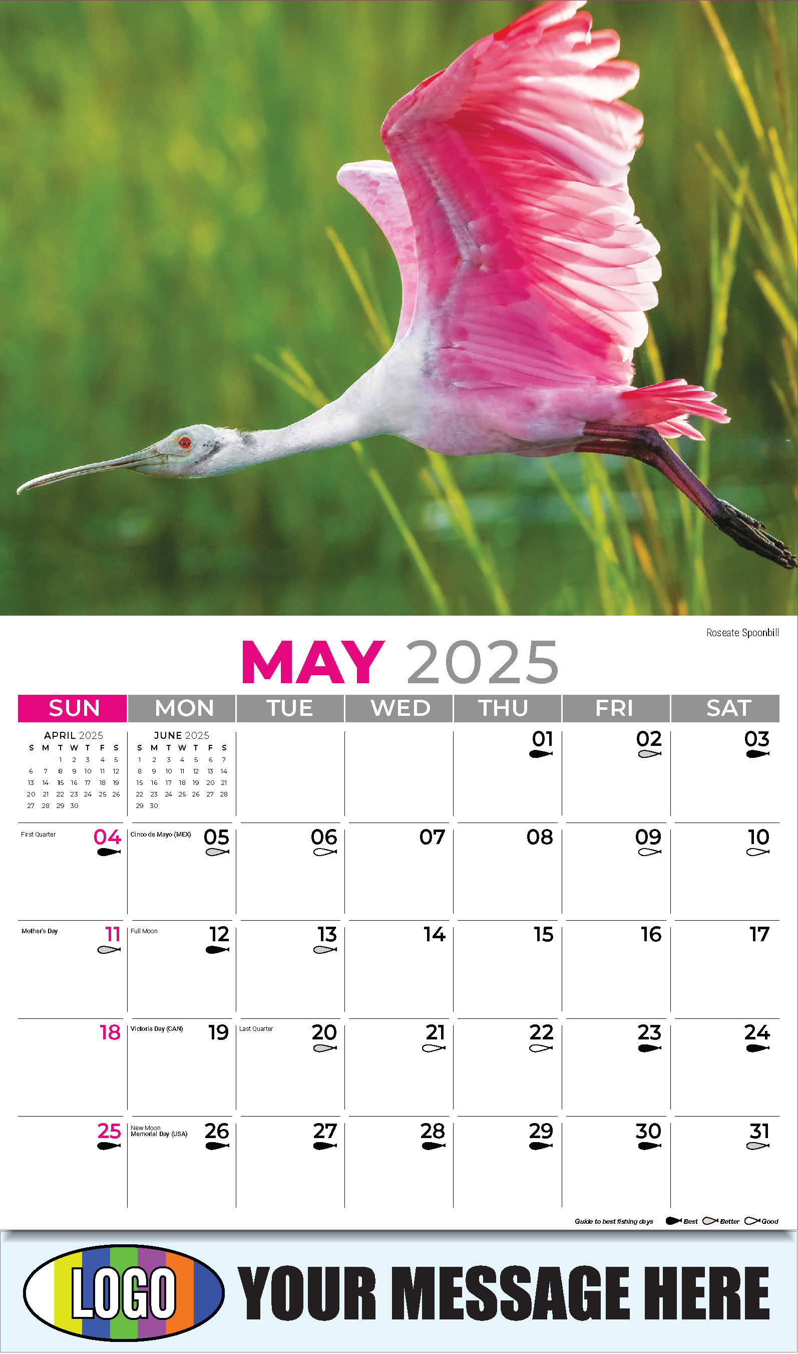 North American Wildlife 2025 Business Promo Wall Calendar - May