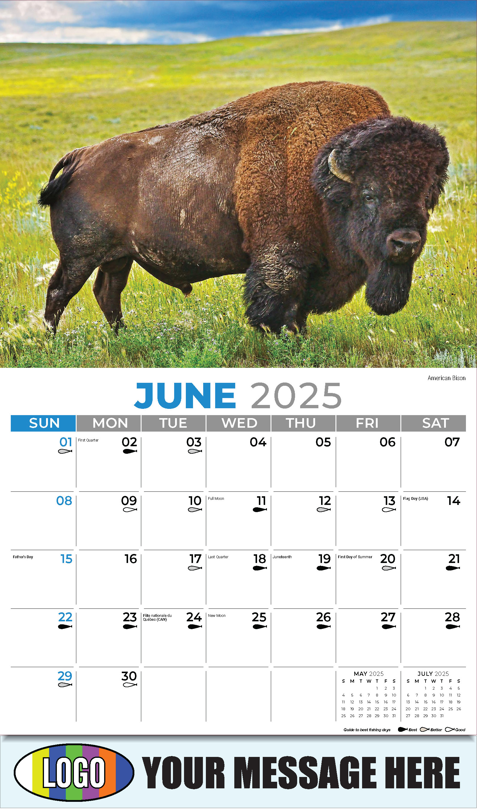North American Wildlife 2025 Business Promo Wall Calendar - June