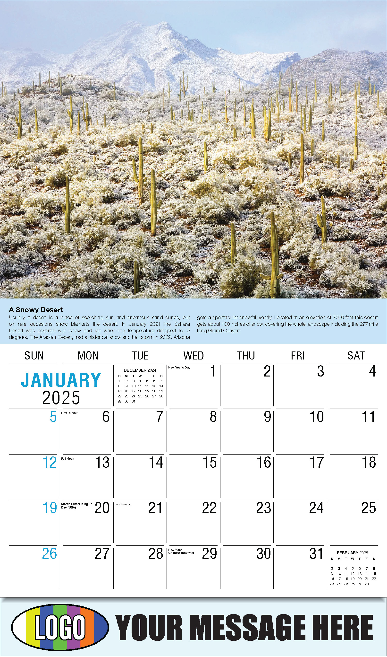 Planet Earth 2025 Business Promotional Wall Calendar - January