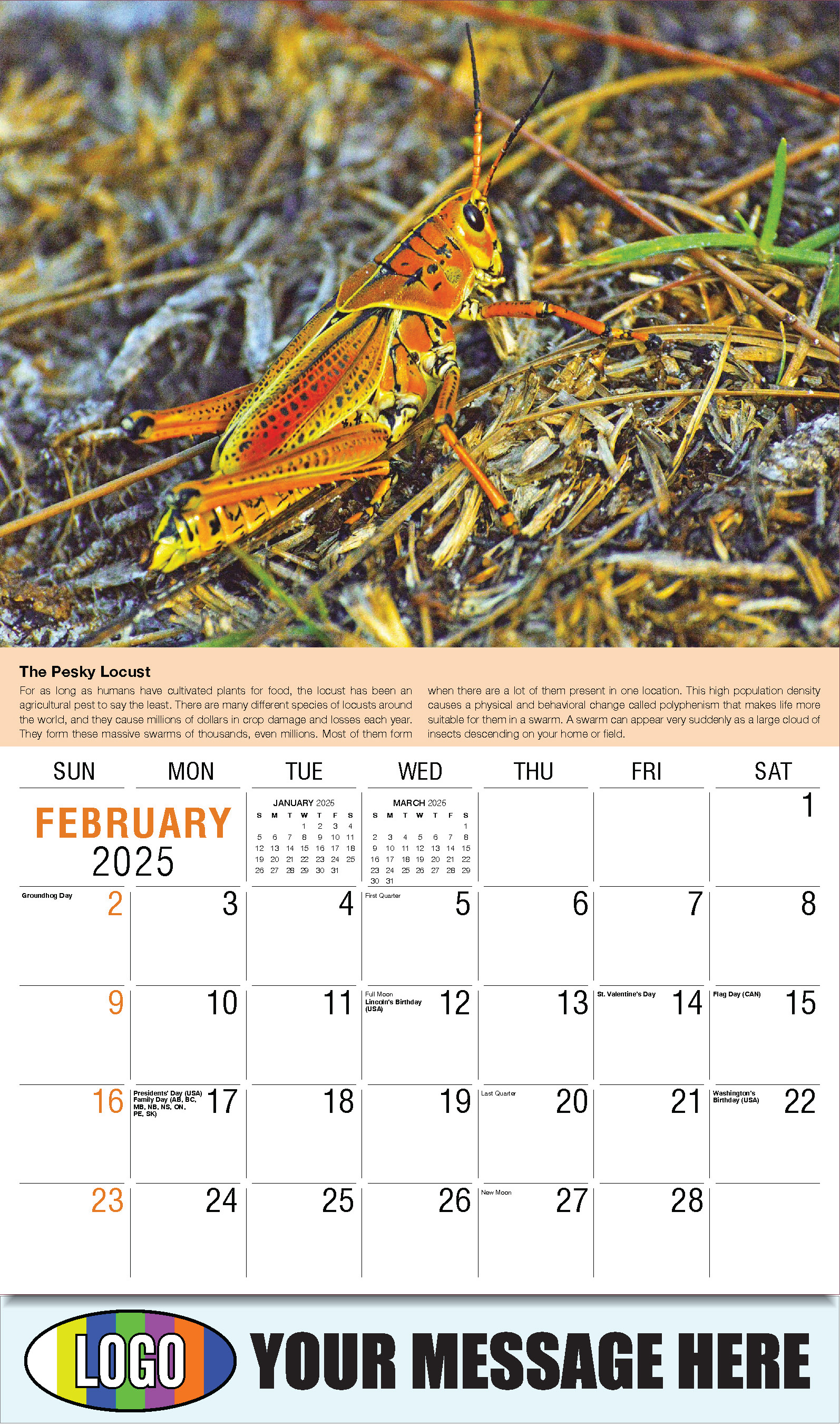 Planet Earth 2025 Business Promotional Wall Calendar - February