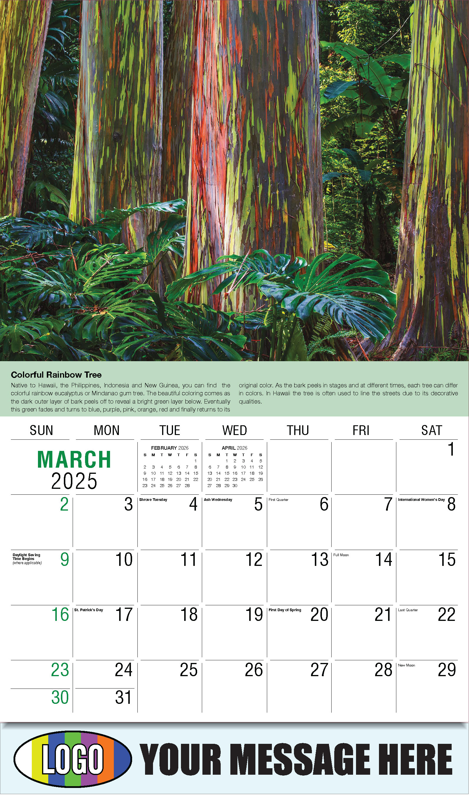Planet Earth 2025 Business Promotional Wall Calendar - March