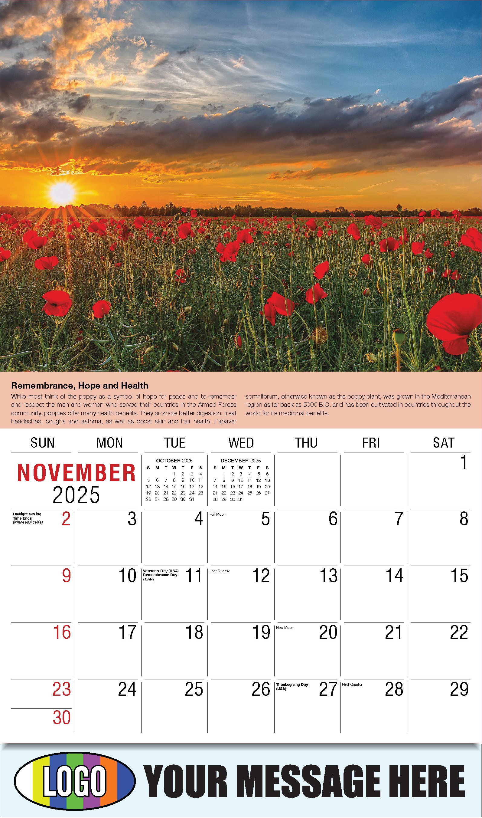 Planet Earth 2025 Business Promotional Wall Calendar - November