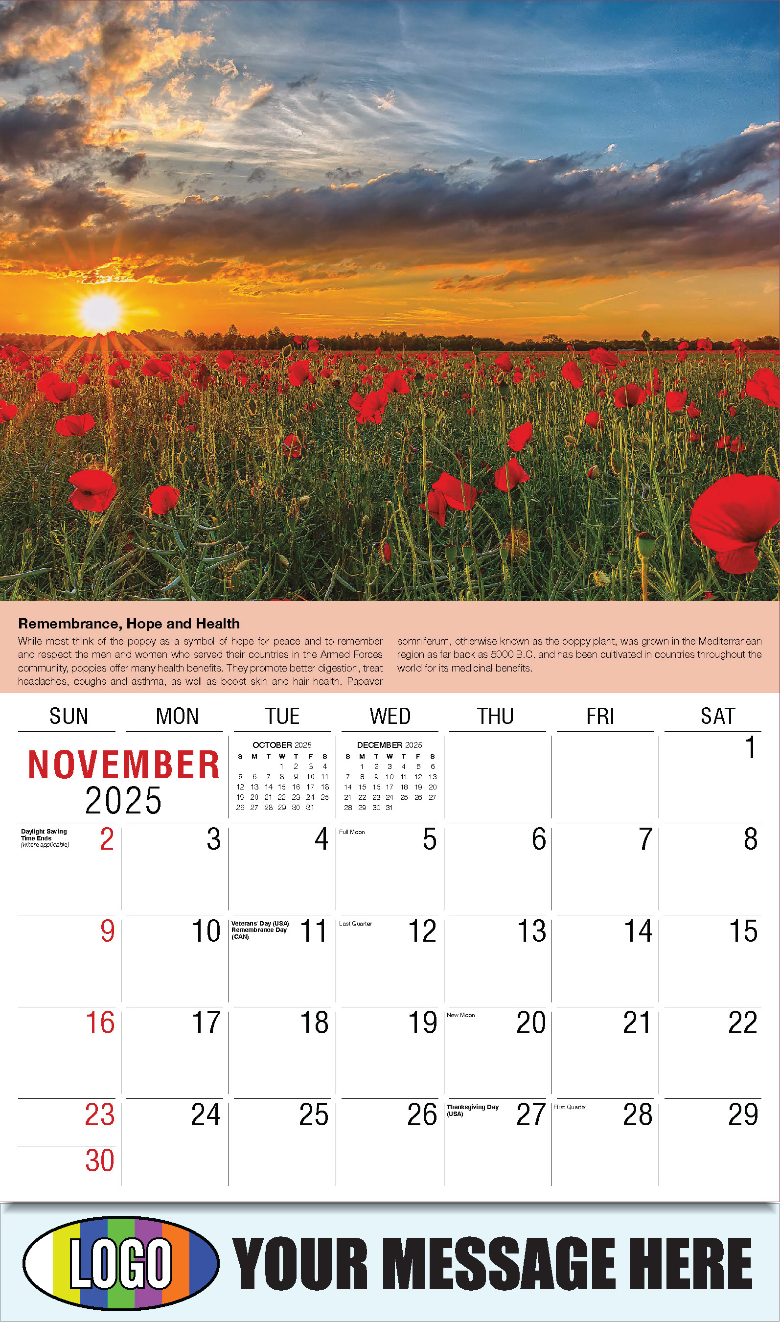 3d Earth Calendar 2025 Sebastian Howard