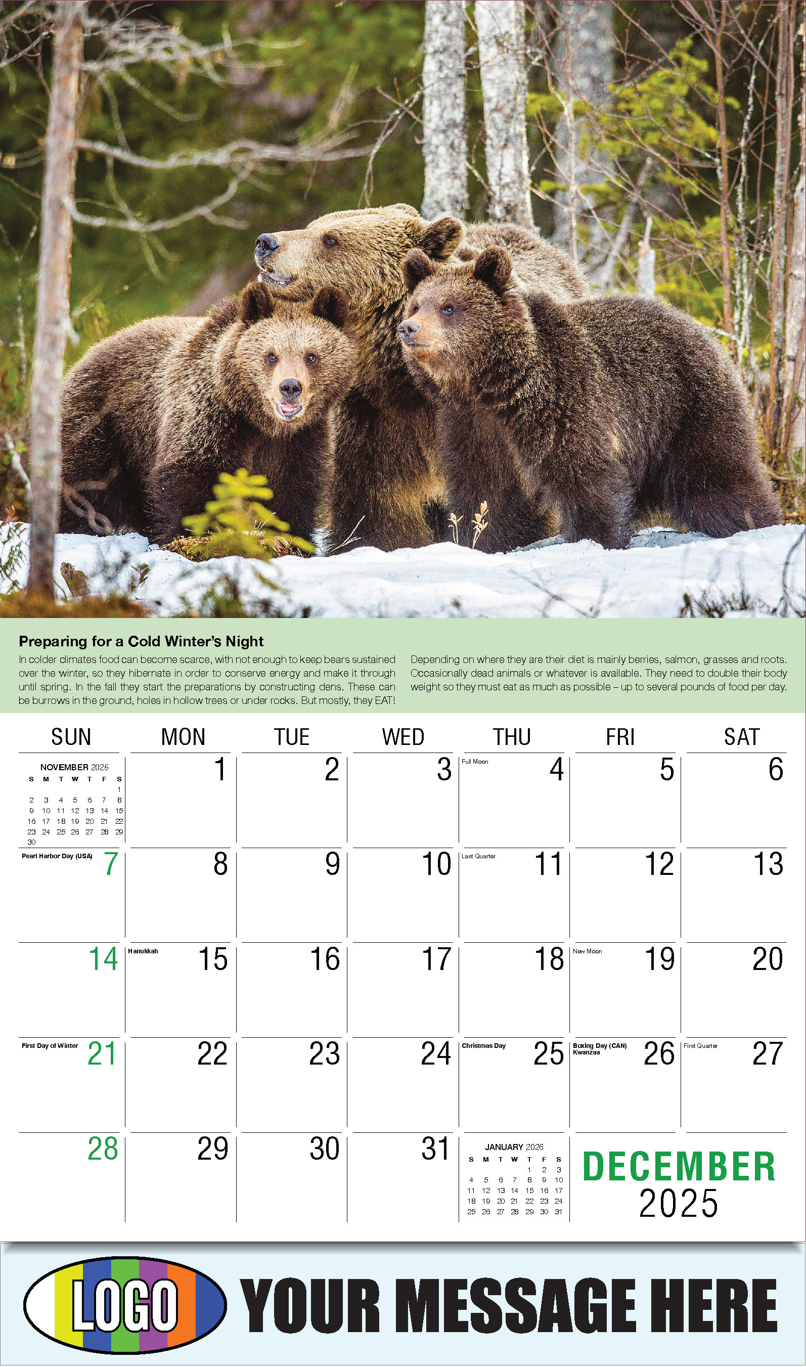 Planet Earth 2025 Business Promotional Wall Calendar - December