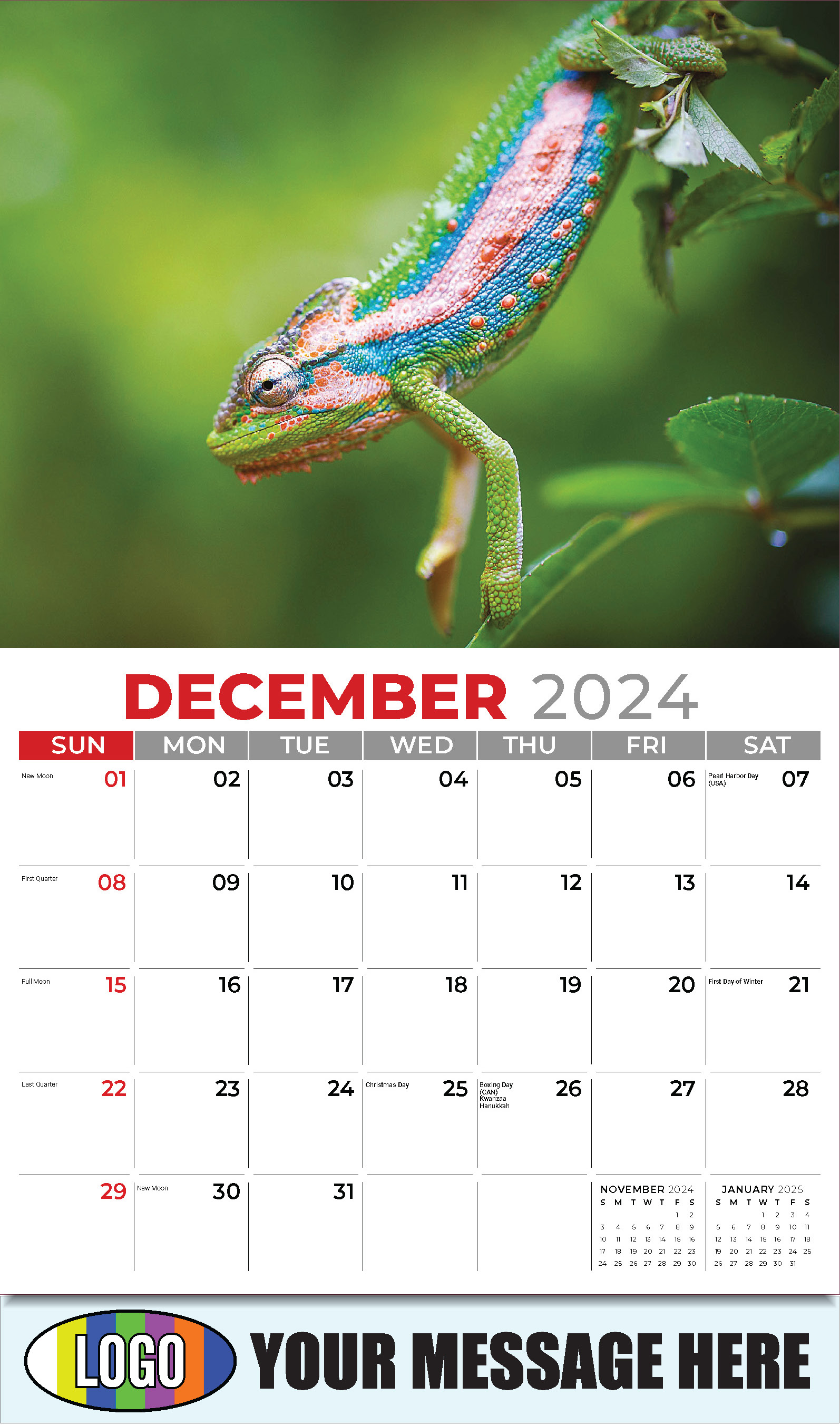 Pets 2025 Business Advertising Wall Calendar - December_a