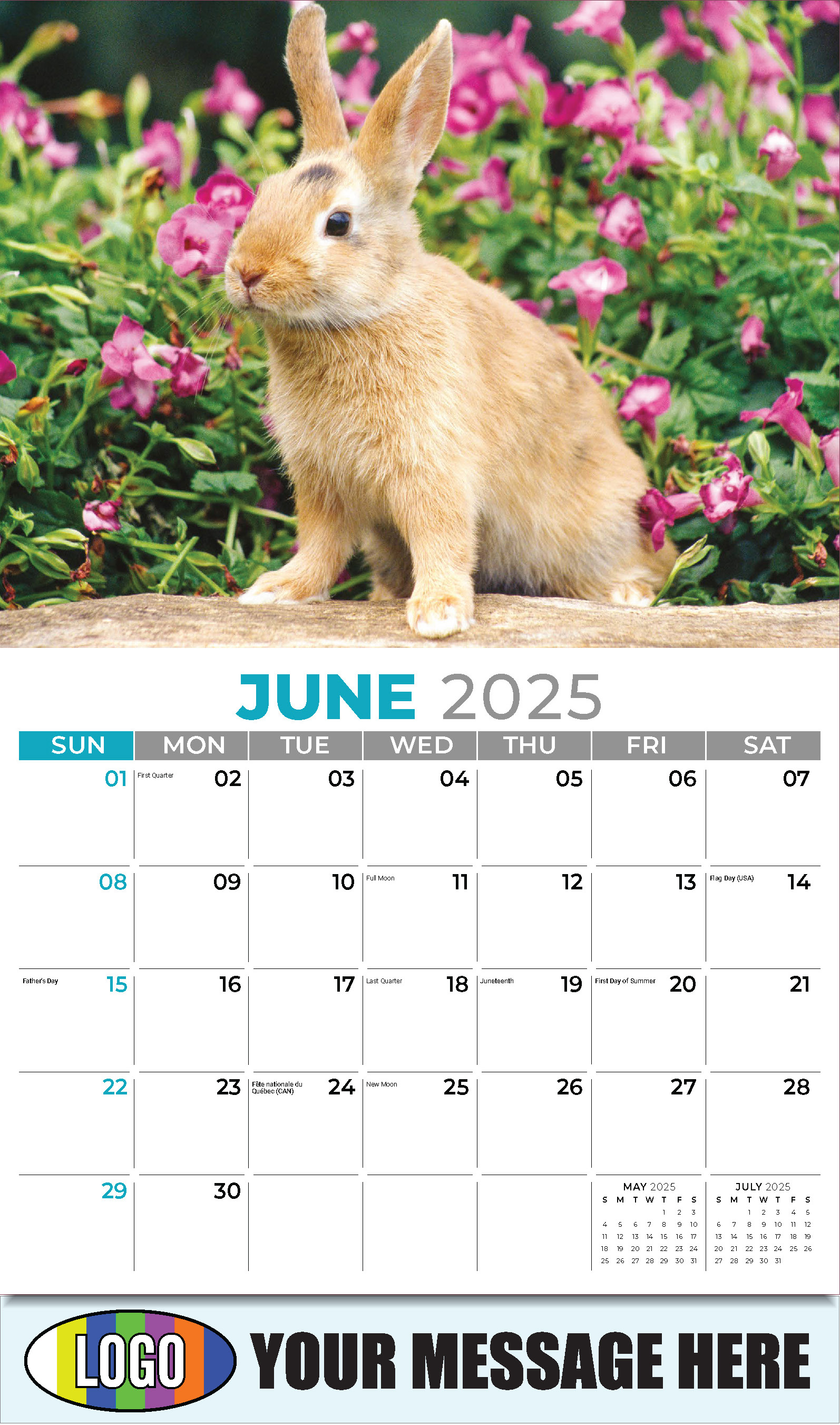 Pets 2025 Business Advertising Wall Calendar - June