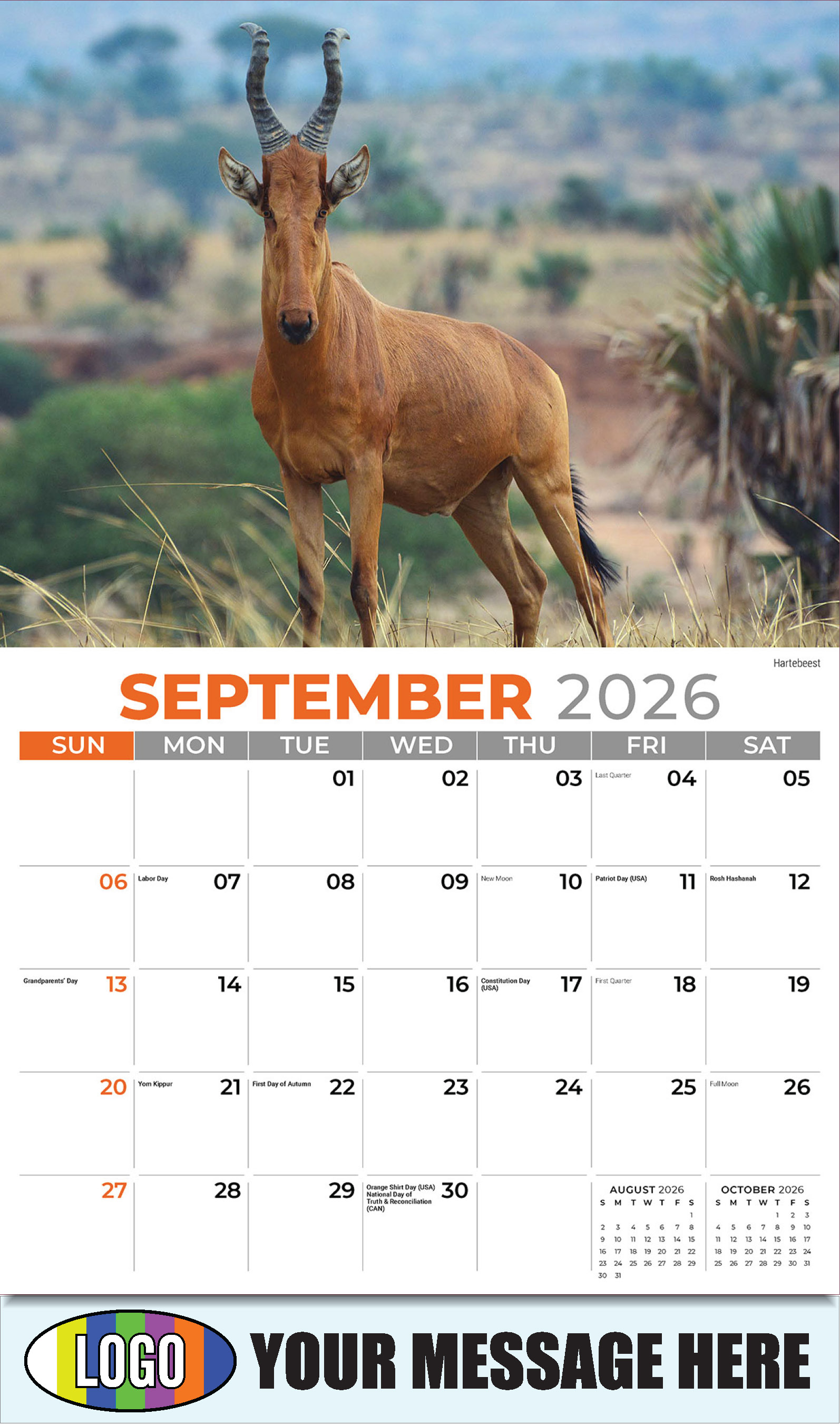 2026 Business Promo Calendar - International Wildlife - Hartebeest - September