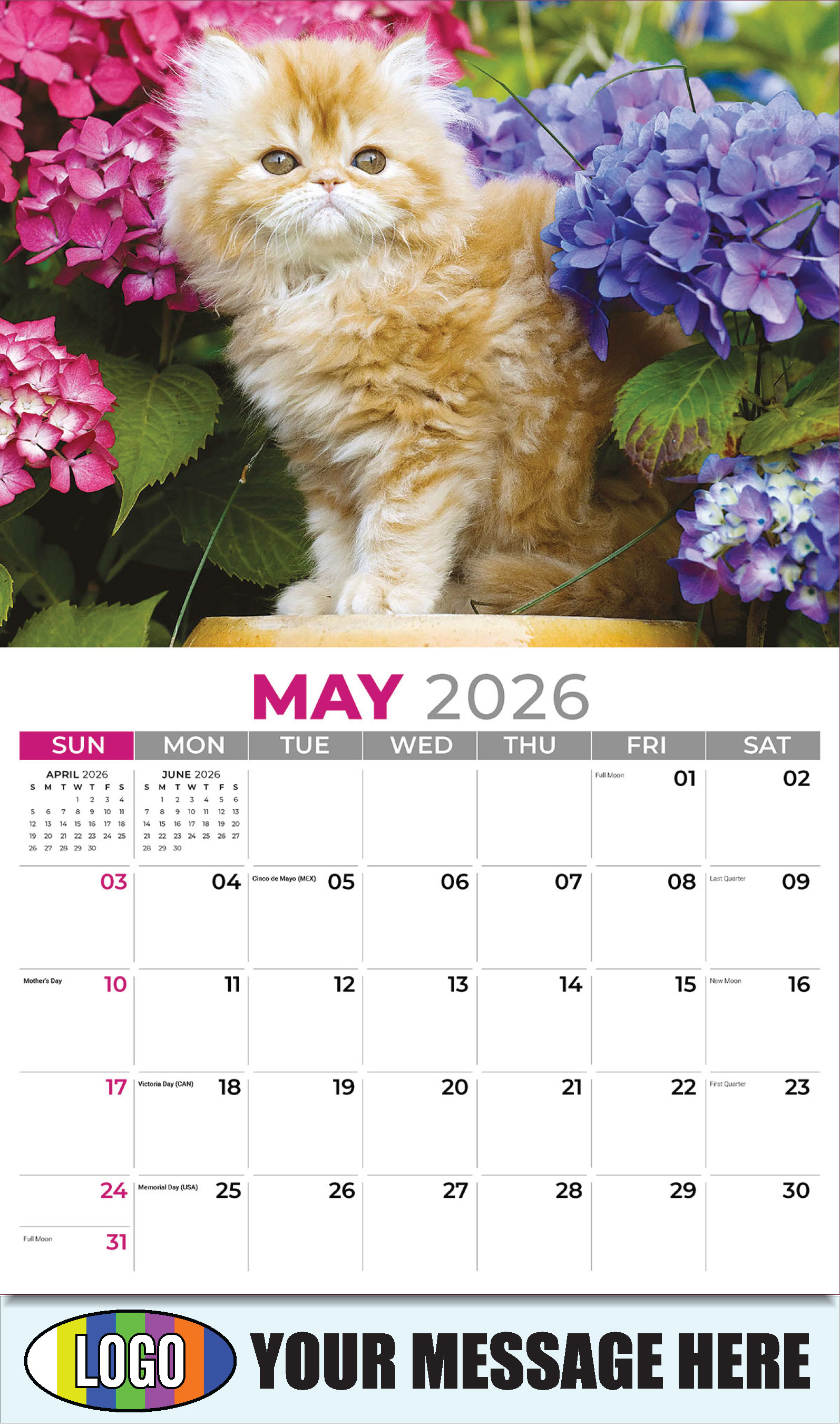 2026 Business Advertising Calendar - Kittens - May