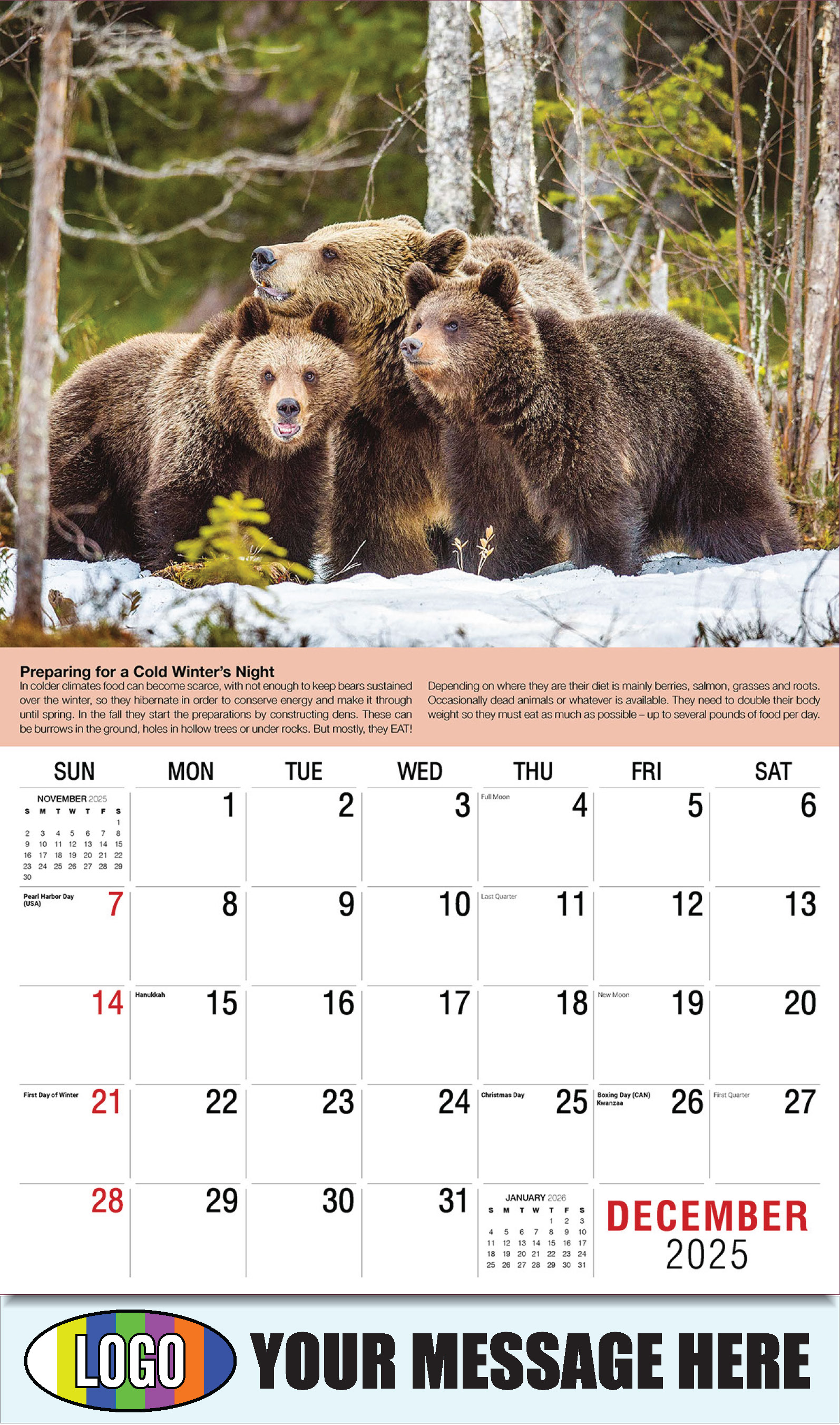 2026 Business Promotional Calendar Planet Earth - December_a - Preparing for a Cold Winter’s Night: